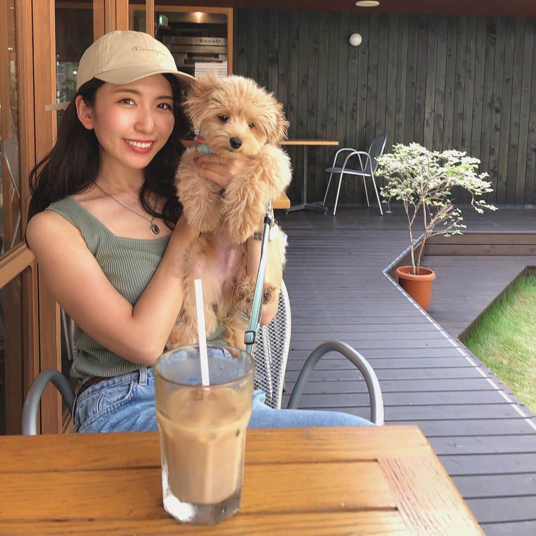 のインスタグラム：「愛しい日々😫❤️🐶 最近洋服大っ嫌いになってしまって 本気噛みしてくる😢 新しく買ったお洋服達着させられないかな〜😢😢 虫除けとか体温調節のためにお洋服好きになってほしい😫💦💦 ・ #ベルたんの成長記録 #ベルたん #ベルスタグラム #べるすたぐらむ #ベルたんとの生活 #トイプーとポメラニアンのmix #ハーフ犬 #ポメプー #ポメプー部 #テディベア犬 #いぬばか部 #いぬすたぐらむ #犬バカ部 #犬バカ部ふわもこ部 #ふわもこ部 #犬のいる暮らし #犬好きな人と繋がりたい #犬のいる生活 #愛犬 #愛犬との暮らし #うちの子一番 #わんこ部 #仔犬 #ilovedogs🐶❤️ #パピー期 #パピーライフ #テラス席 #わんことカフェ」