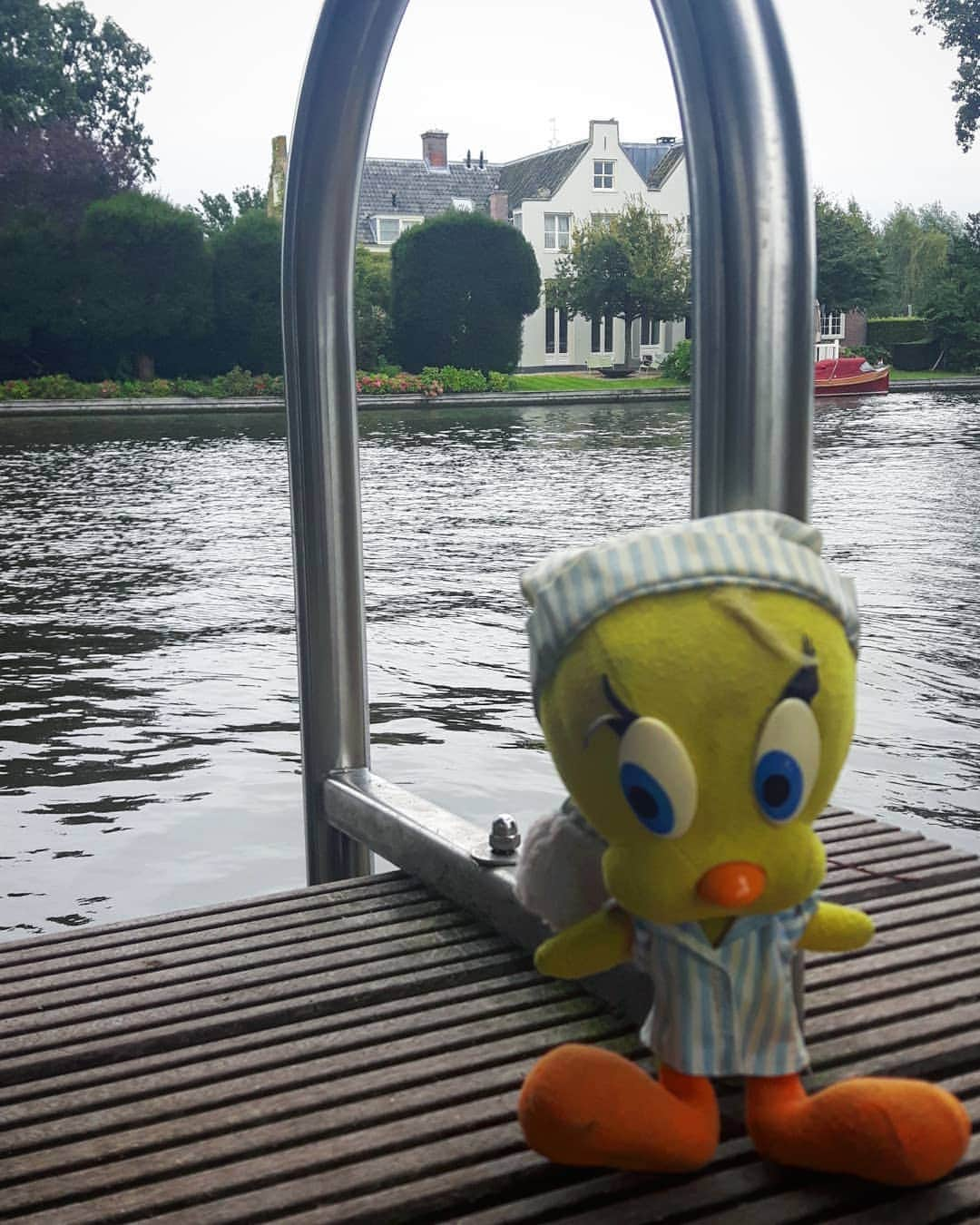 Little Yellow Birdさんのインスタグラム写真 - (Little Yellow BirdInstagram)「The weather is not very swimmable. Yet.  #littleyellowbird #tweety #tweetykweelapis #adventures #yellow #bird #weekend #saturday #loenenaandevecht #river #riverview #vecht #swimming #clouds #cloudysky #greyweather #summer #september #stuffedanimalsofinstagram #plushiesofinstagram」9月12日 22時04分 - tweetykweelapis