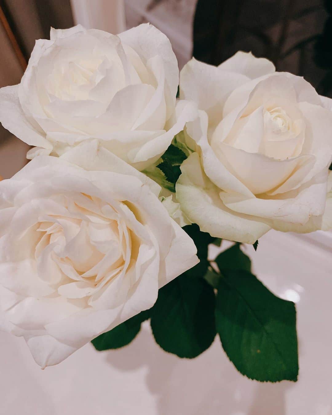 椎名美月さんのインスタグラム写真 - (椎名美月Instagram)「白い薔薇がお花で1番すき  #薔薇 #flower #white」9月12日 23時03分 - mizkiss