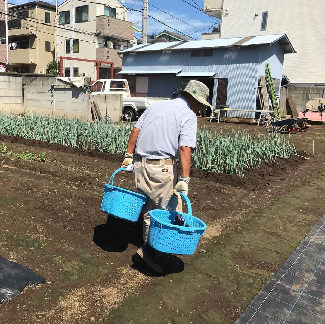 小谷あゆみさんのインスタグラム写真 - (小谷あゆみInstagram)「農家の後ろ姿。 後ろ姿っていいね 口の悪い農家のじっちゃんも愛おしく思わずにいられない。 人の後ろ姿にはそういう力がある。 昔ユーミンがラジオかなんかで話してた。 いろいろ夫の行動に傷ついたこともあったが、別れないでいるにはエピソードがあった。 八王子に住んでいたユーミンは 後に夫になる人と吉祥寺だか中央線沿線のどこかで待ち合わせをしていた。 なのにデートの時間に遅れたため、新宿まで直行の特急に乗ってしまい、 通過した吉祥寺駅のホームで、冬の寒い中じっとベンチに座って待つその人の背中を車内から見た。 約束の時間を過ぎてもじっと待つ後ろ姿を思い出すたび、 何十年経った今でもきゅんとなると。 美し過ぎる歌詞のような物語ではあるけれど。 人の後ろ姿にはそういう健気さがある。 前を向いては決して伝わらないメッセージを、後ろ姿だけが持っているのだ。 世田谷の畑にて。」9月12日 23時28分 - vegeanaayu