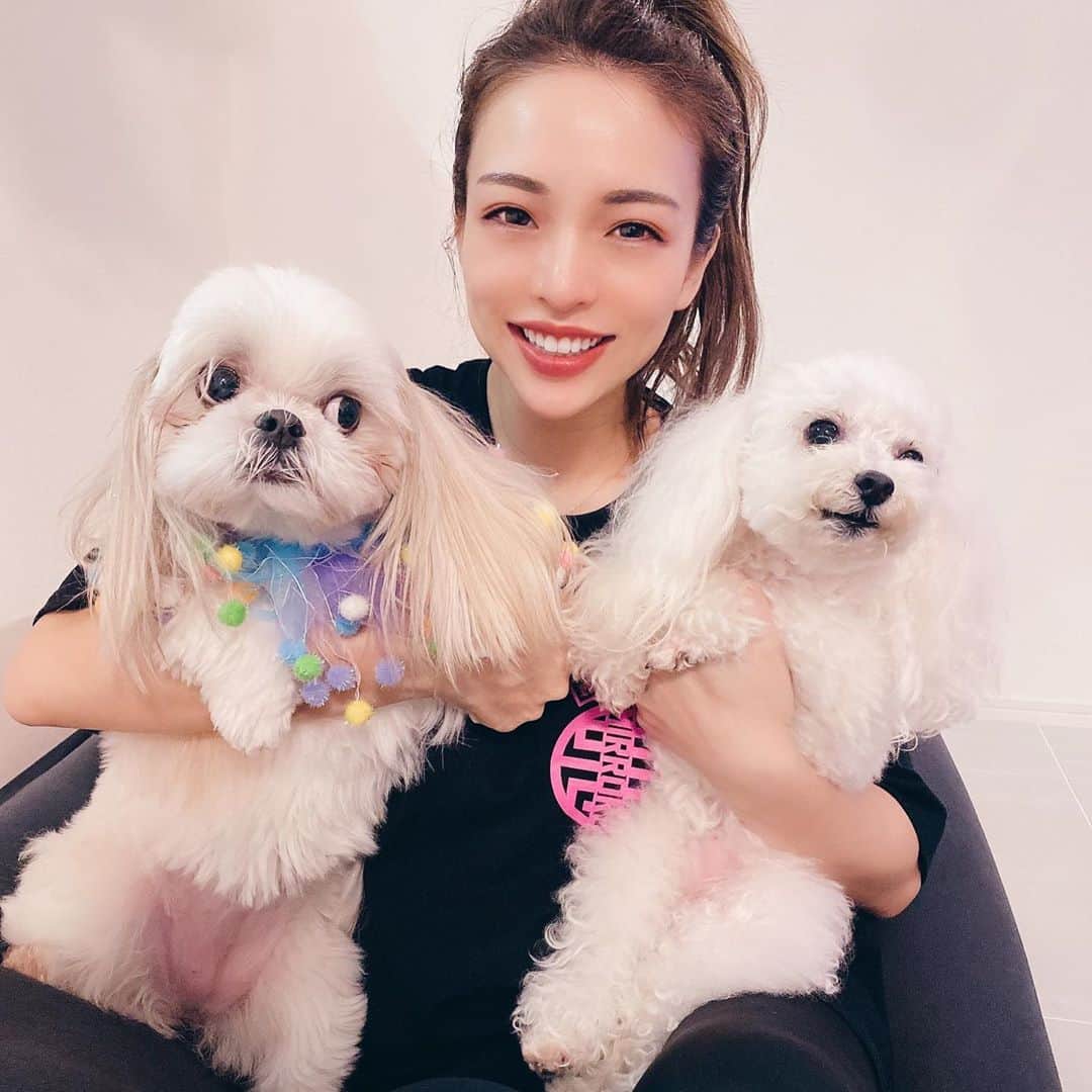 のインスタグラム：「🎂HAPPY BIRTHDAY🎂 ♥P-tan & Candy♥ キャンディは9/12で7歳、ぴーたんは9/14生まれで8歳🥳 早っ‼︎信じられない🙈 歳取らないで欲しいよ〜😭😭😭 ずーっと長生きしてよ約束‼︎ キャンディに被り物かぶせるの時間かかるしすぐ取るし🌻ぴーたんは首飾り食べたしててんやわんや😂😂😂 #ぴーたん#キャンディ#LOVE#happybirthday」