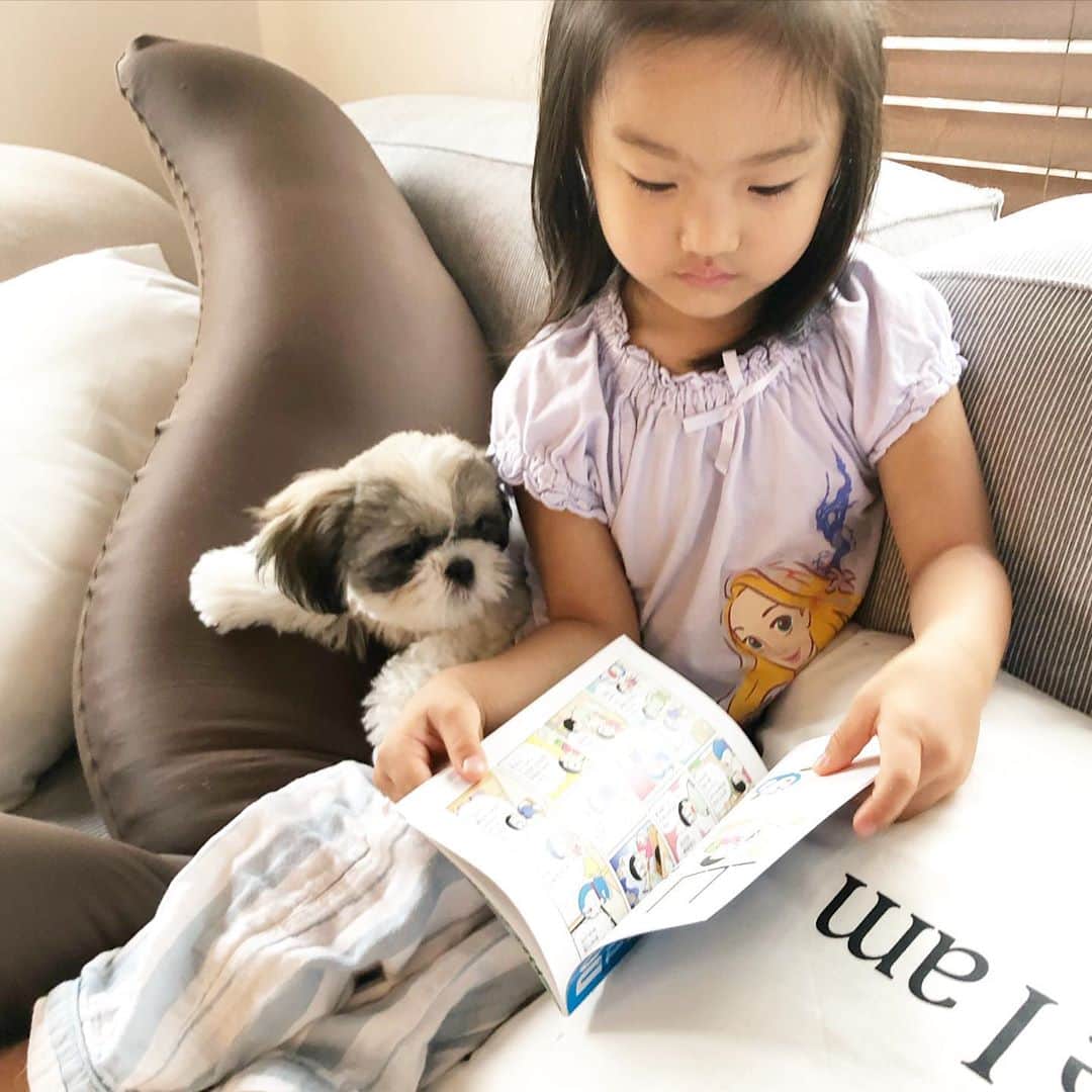 秋定麻紀子のインスタグラム：「娘と息子。 はぁーーー可愛い。 早くお散歩行きたいね。 #シーズー #ころころ #もふもふ #マイペース」