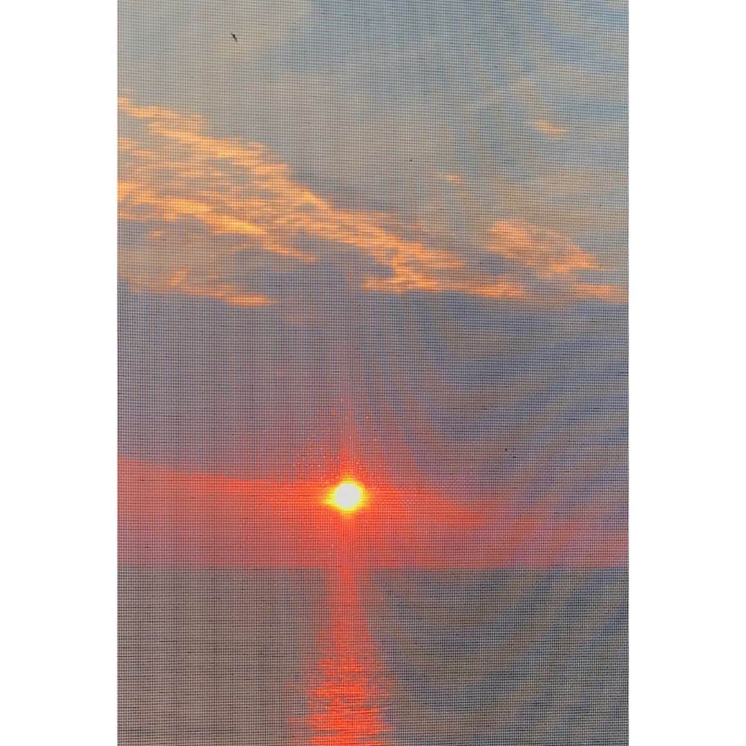 のインスタグラム：「🕊💗」