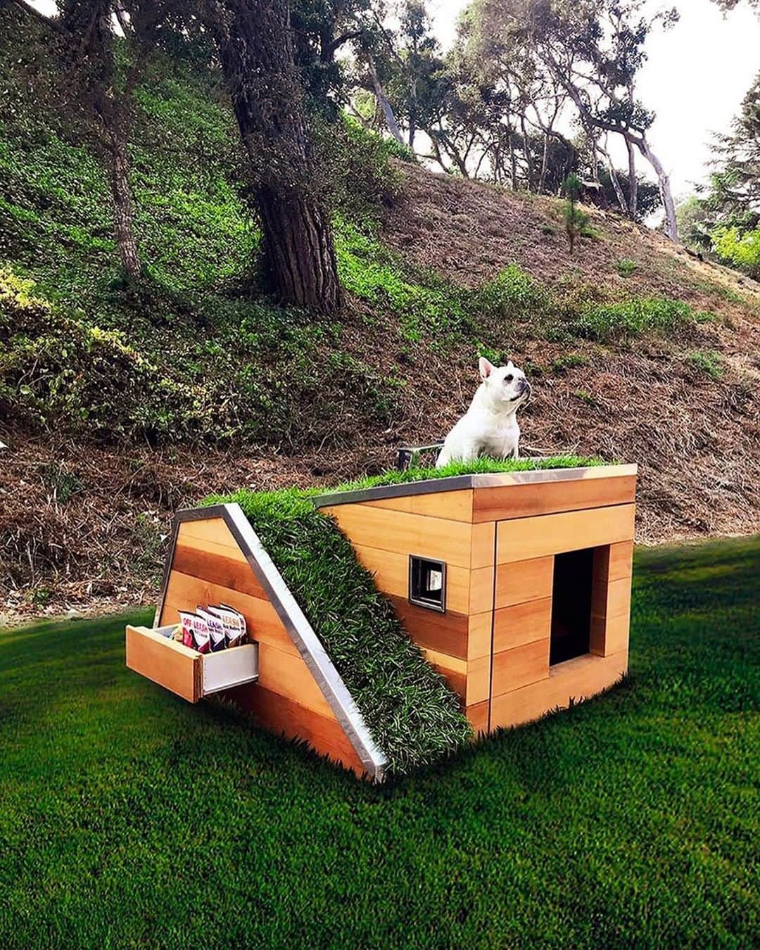Architecture - Housesさんのインスタグラム写真 - (Architecture - HousesInstagram)「⁣ #Pet houses.🐶🐱⁣ 1,2,3,4,5,6. Which one is your favorite?⁣ Leave your comment below! ⬇⁣ _____⁣⁣⁣⁣ ⁣ 1)Puppy Playhouse by @studio_schicketanz⠀⁣ 2)Adventure Cat Tent by @tinkertradingco⠀⁣ 3)Pitched Ruff, designed by Blaze Makoid Architecture⁣ 4)Benchouse, designed by Ignacio Ramos⁣ 5)Upcycled Pet Bed out of an Oil Barrel by @indusigns_upcycling⁣ 6)Cat Window Perch by Martha Stewart⁣ #archidesignhome⁣ _____⁣⁣⁣⁣ #pets #dog #cat #doghouse #cathouse #architecture #architecture_lovers #architecturephotography ⁣⁣ #architecturelovers #architecturephoto #animals」9月13日 0時50分 - _archidesignhome_