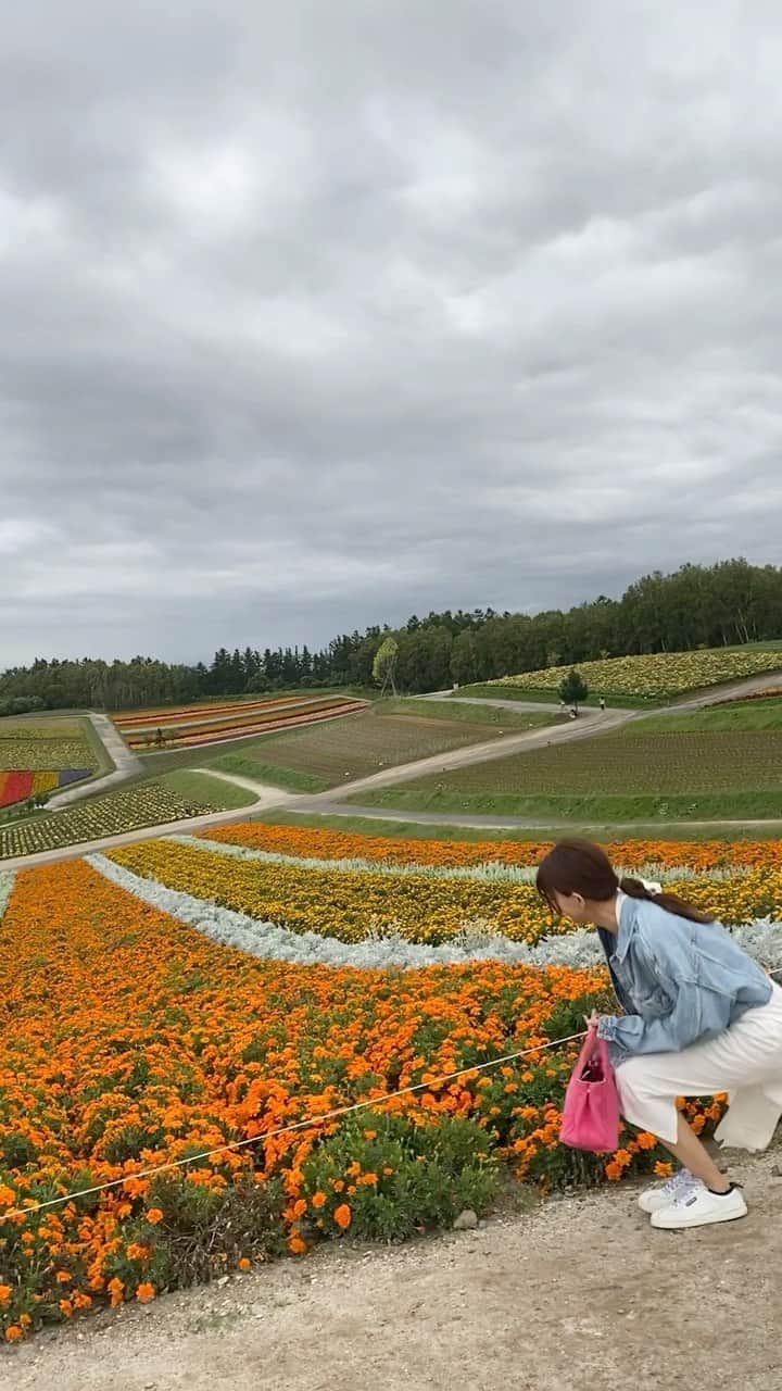 のインスタグラム：「#四季彩の丘#マリーゴールド#青い池#北海道旅行#北海道観光#ねこバス#ジブリの世界#美瑛#お花畑#大自然#ドライブスポット#旅行好きな人と繋がりたい」