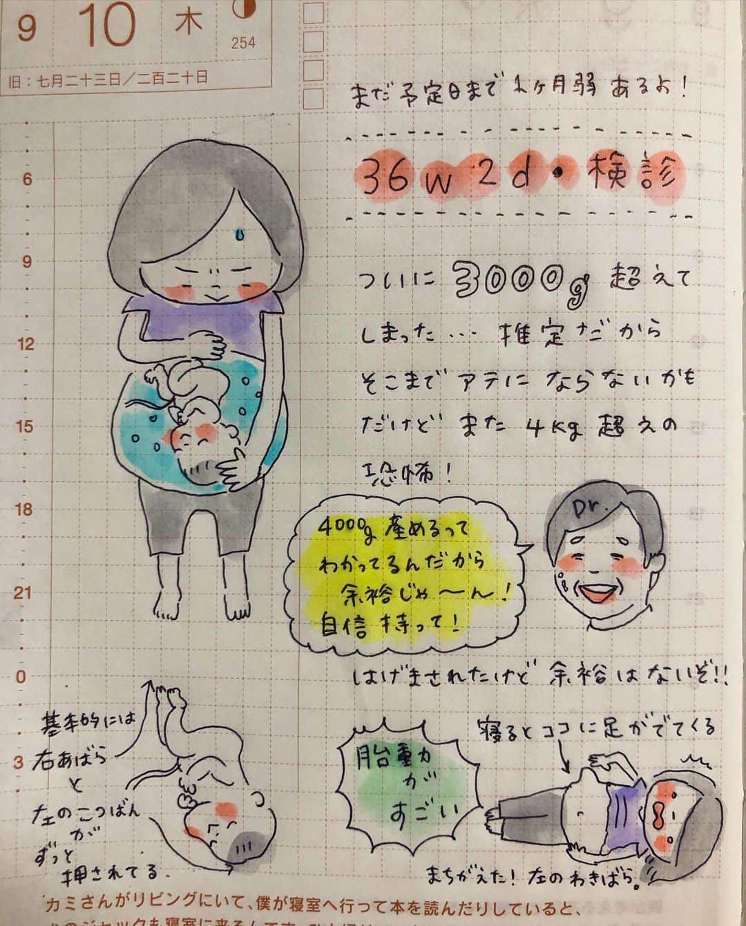 misaさんのインスタグラム写真 - (misaInstagram)「全然記録が書けないので一発書き＆色数を減らしてみた… また4kg超えちゃうよ。こわいよ #ほぼ日 #ほぼ日手帳  #ほぼ日絵日記 #絵日記 #育児日記 #育児絵日記 #hobonichi  #イラスト #illust #クリーンカラー#妊娠10ヵ月#臨月#36w2d」9月13日 0時52分 - m_hobonichi