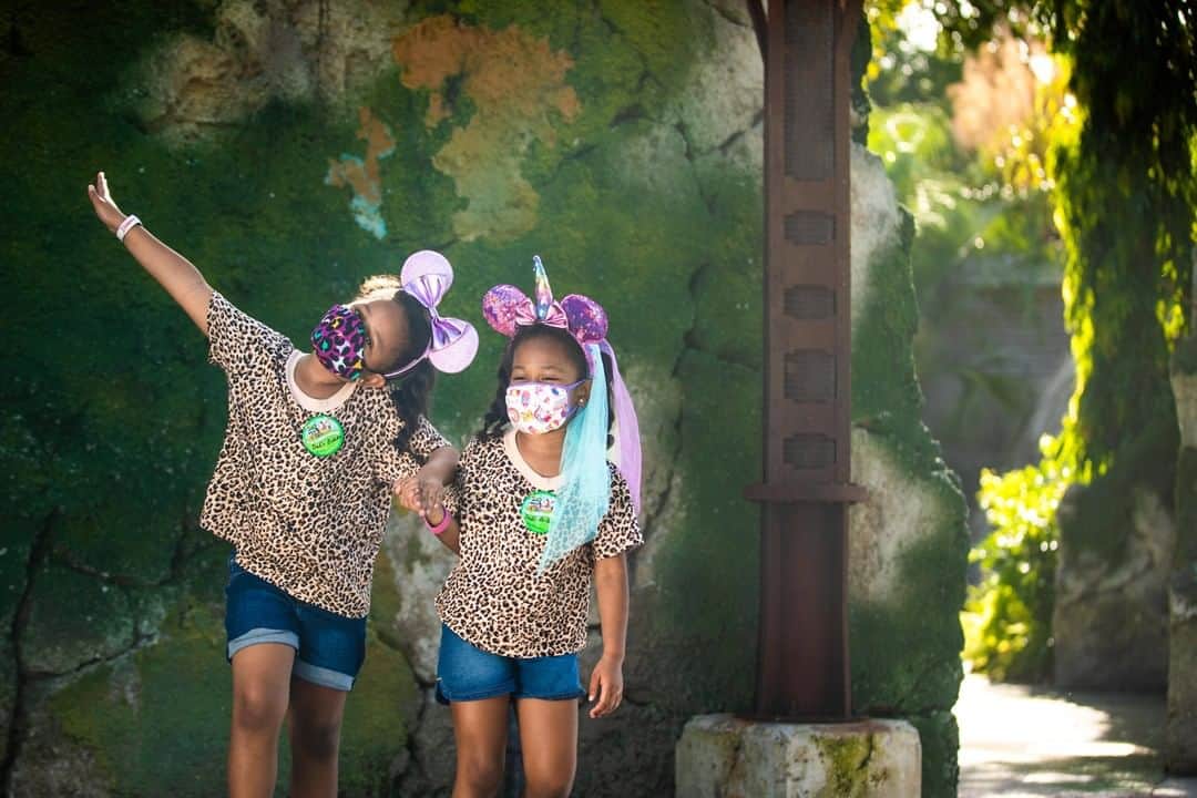 Walt Disney Worldさんのインスタグラム写真 - (Walt Disney WorldInstagram)「Take a look! Our guests are creating unforgettable moments at Disney’s Animal Kingdom and Disney’s Hollywood Studios! What’s your favorite memory from these parks? #DisneyMagicMoments ✨」9月13日 1時00分 - waltdisneyworld