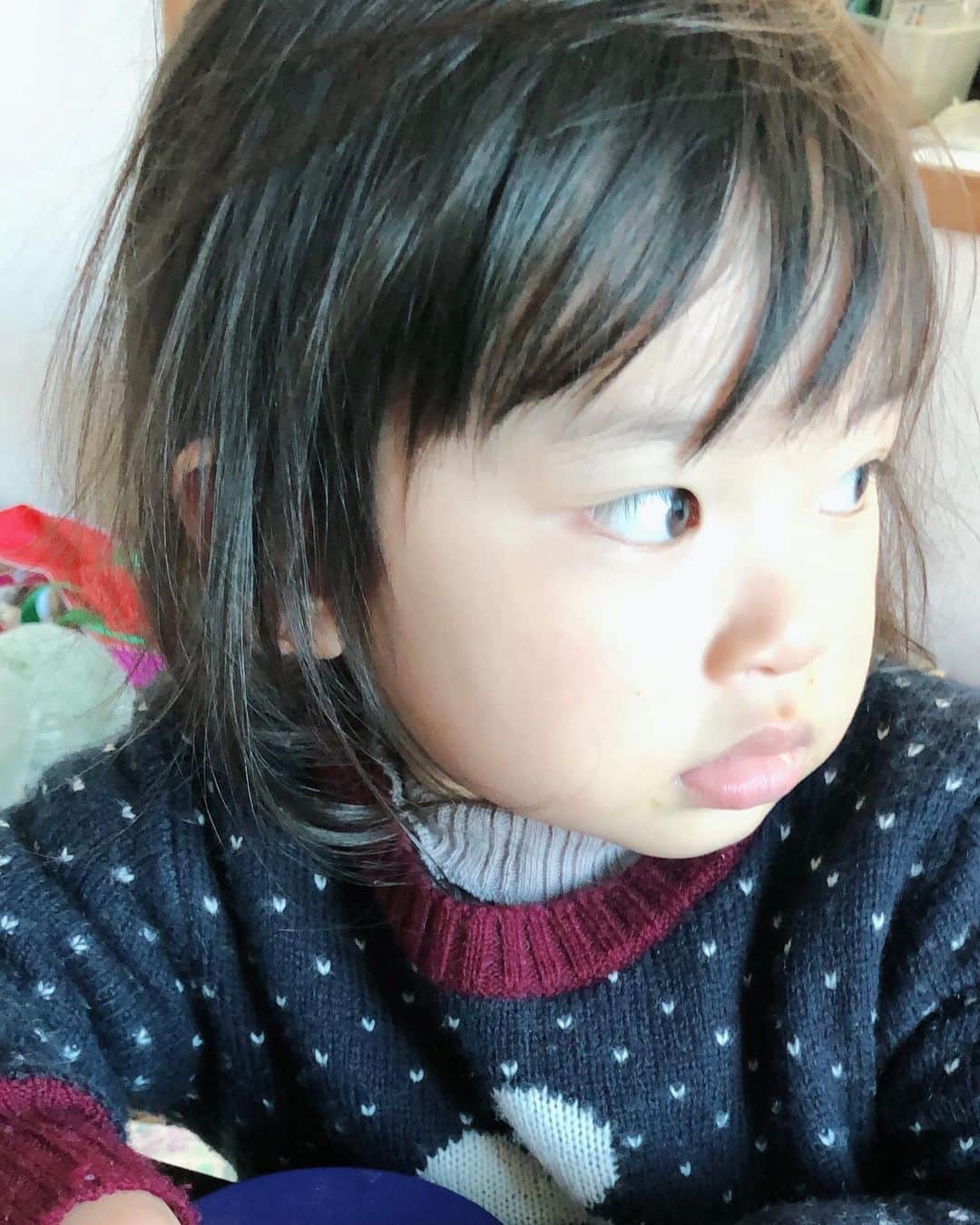 セゴリータ三世のインスタグラム：「写真整理したら出てきた めっちゃ小さい頃の娘。 ミニチュア版の僕だって言う人もいるけど よくわからない。 ただ、二重なのは羨ましい。  体重77.2kg（前日比＋0.2kg） BMI23.8（前日比±0） 体脂肪率20.5%（前日比±0%） 内臓脂肪10.0（前日比±0）  汗かいたあと、なかなか汗止まらない ※ダイエットあるある  #100日ダイエット #100日後に痩せる元ゴリラ #11日目」