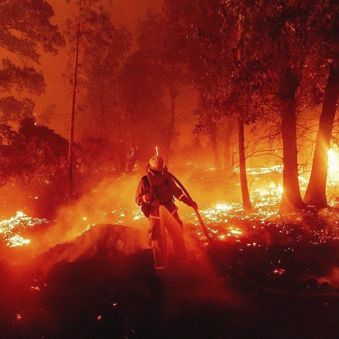 Architecture - Housesさんのインスタグラム写真 - (Architecture - HousesInstagram)「. #California is on fire.💔🔥   More than 2.5 million acres of land have been destroyed and the fires are still blazing. This is the most devastating and unprecedented fire season to date. Blazes are tearing through entire towns, destroying thousands of homes, and creating a thick blanket of smoke that leaves the sky ominously dark throughout the day   California needs our help so if you can afford it, please donate and help spread awareness. They need us. You can donate through this link: https://www.calfund.org/wildfire-relief-fund/ (you will find it too in our bio).  ____ #californiafires #californiafire #deforestation  #climatecrisis #caliisonfire」9月13日 1時36分 - _archidesignhome_