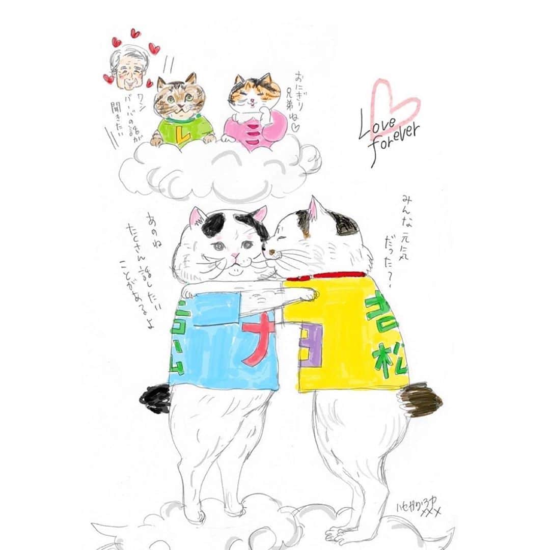 Kachimo Yoshimatsuさんのインスタグラム写真 - (Kachimo YoshimatsuInstagram)「ばらいろ着物手帖の @aya_barairo ハセガワアヤさんが、ナナクロの絵を描いてくれました。ありがとうございました。明日、いや今日展示します。 #うちの猫ら #みんなのナナクロ展 #ナナクロ大好き #ナナクロ #ナナクロの絵 #nanakuro #ハセガワアヤ　#ばらいろ着物手帖 #ばらいろ用品店 猫 #ねこ #cat #ネコ #catstagram #ネコ部 http://kachimo.exblog.jp」9月13日 1時46分 - kachimo