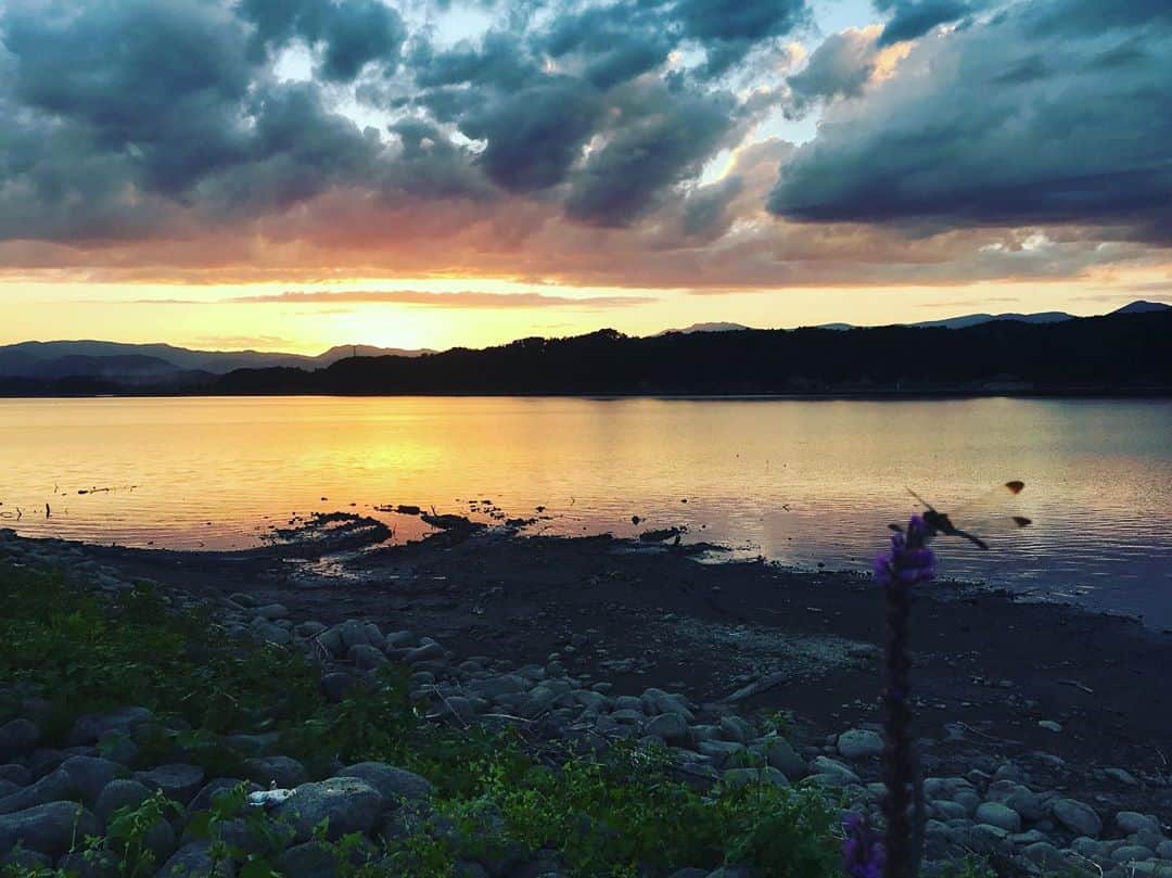 井上智晶さんのインスタグラム写真 - (井上智晶Instagram)「先日、雫石町の御所湖に 行ってきました。  夕日がとても綺麗だったので 思わずパチリ。  いい具合にトンボさんが いてくれました。  まさにハッピーアワーでした^_^  午後5時半ごろの御所湖は おススメです  #夕日 #御所湖 #雫石町 #ハッピーアワー #岩手めんこいテレビ #井上智晶 #アナウンサー」9月13日 11時15分 - tomoaki.mit.inoue