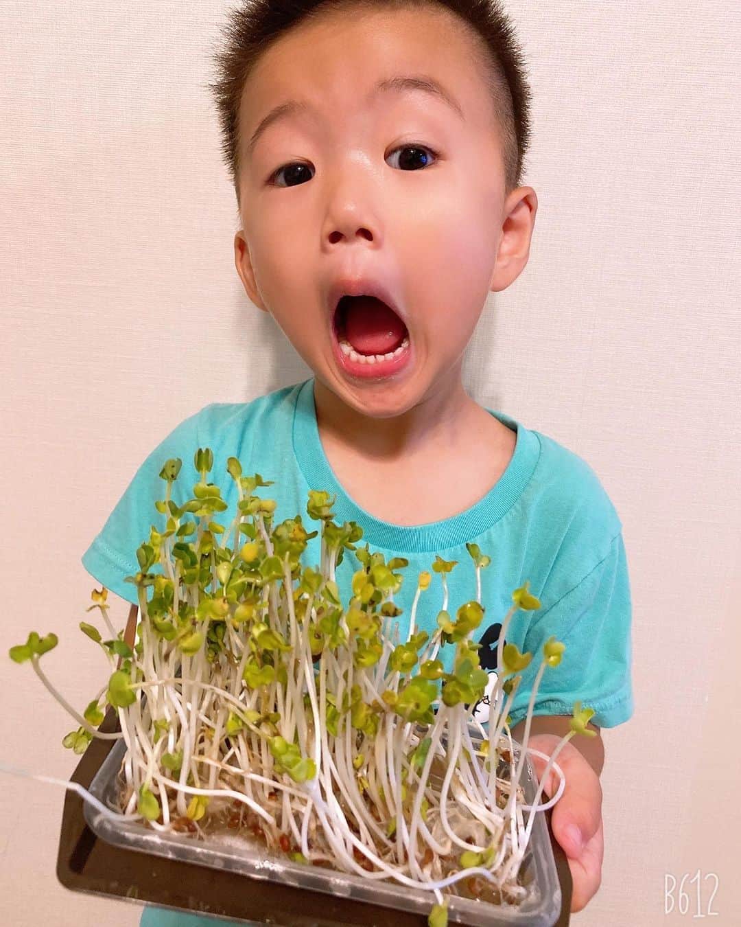 鈴木亜美さんのインスタグラム写真 - (鈴木亜美Instagram)「自分で育ててみるの巻👍 毎日、朝起きてすぐに気にかけて、あっ大きくなった🤭と喜んでいました❣️でも、これ結構苦かったんだ😅 結局、パパどうぞっ❤️ってなりました。でも、夏休みの宿題みたいで楽しくできました🥒少しづつ手間のかかる野菜に挑戦していきたいね🍅 #3歳の夏 #食育 #育てる #興味を持たせる #スプラウト #一週間でできる #短気の子供向き」9月13日 11時49分 - amiamisuzuki