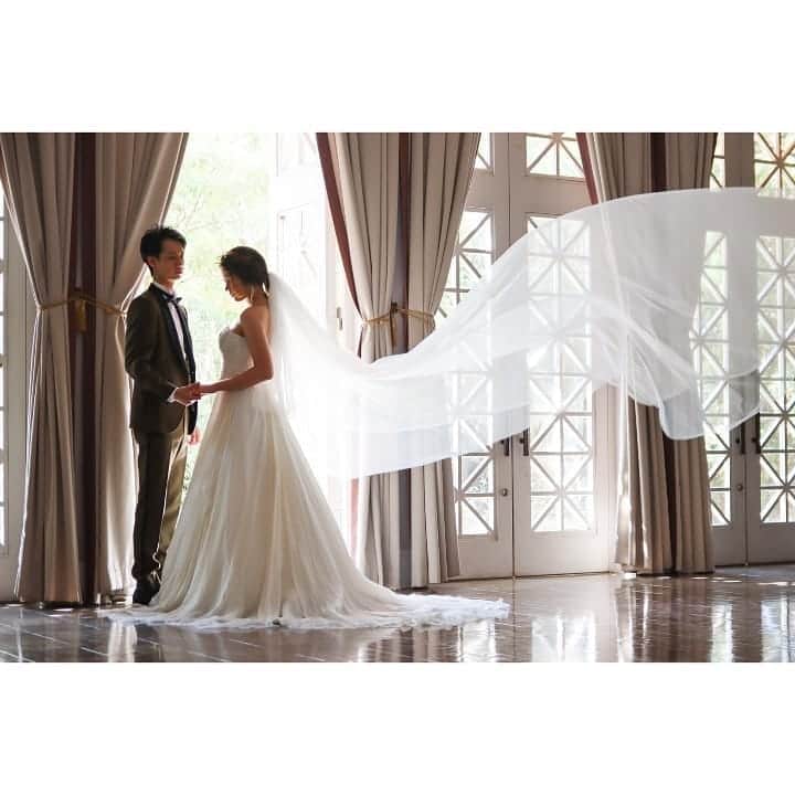 メゾン エルミタージュのグルメインスタ