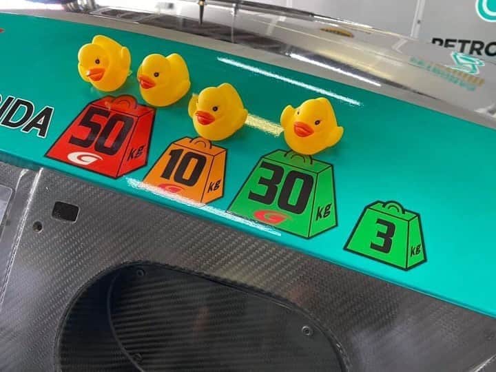 有馬綾香のインスタグラム：「幸運を運んでくれるアヒル達も応援！🐤」