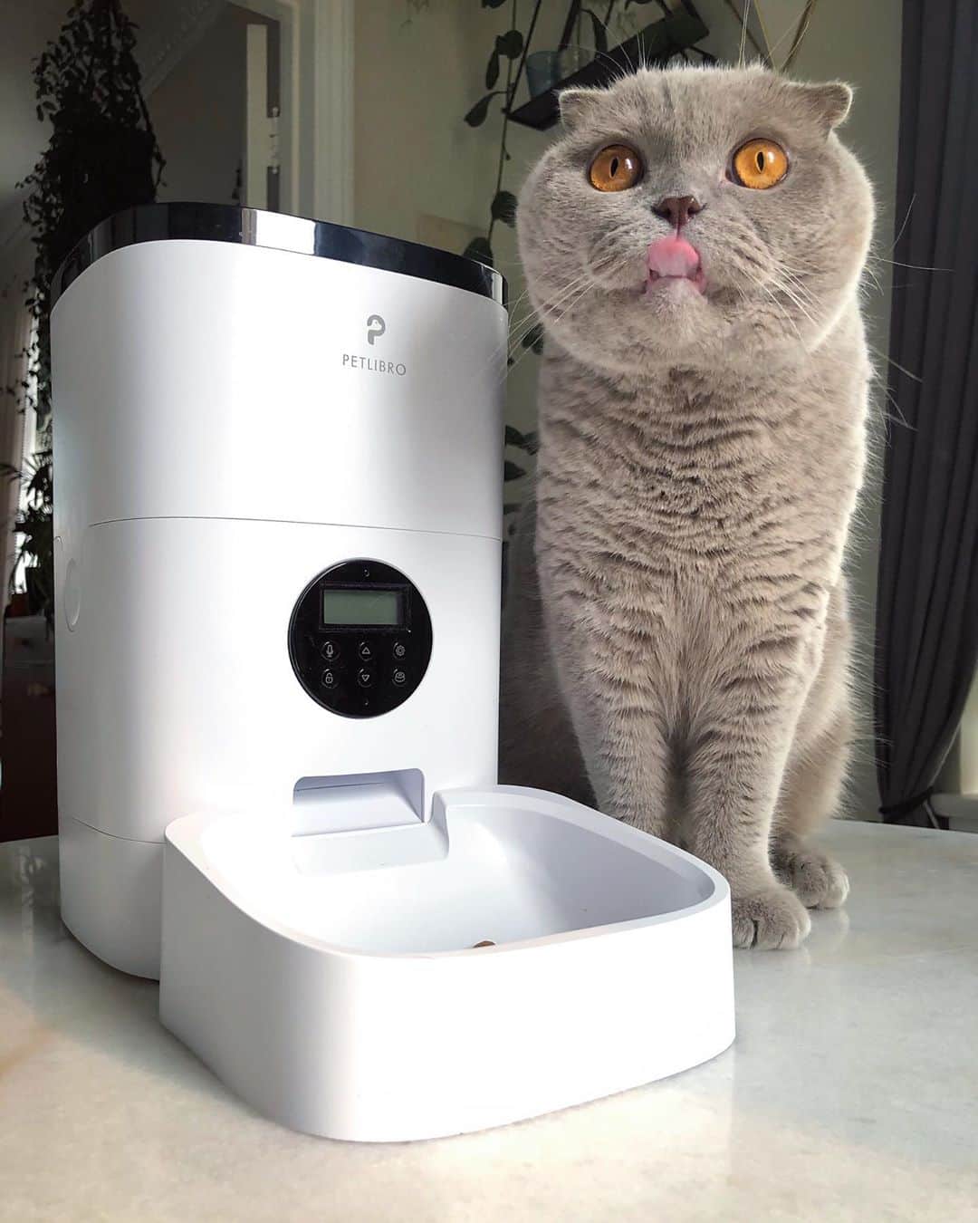 Millaさんのインスタグラム写真 - (MillaInstagram)「🥳 CONGRATS 🎉 @kimmetry on winning your own @petlibro automatic pet feeder! 🎁 USE CODE: MILLA to get 20% off your own! 🏷 Thank you to everyone who entered and BIG THANK YOU to Pet Libro! 💕 #WinnerWinnerChickenDinner #MillaTheCat #PerLibro #Caturday」9月13日 11時55分 - millathecat