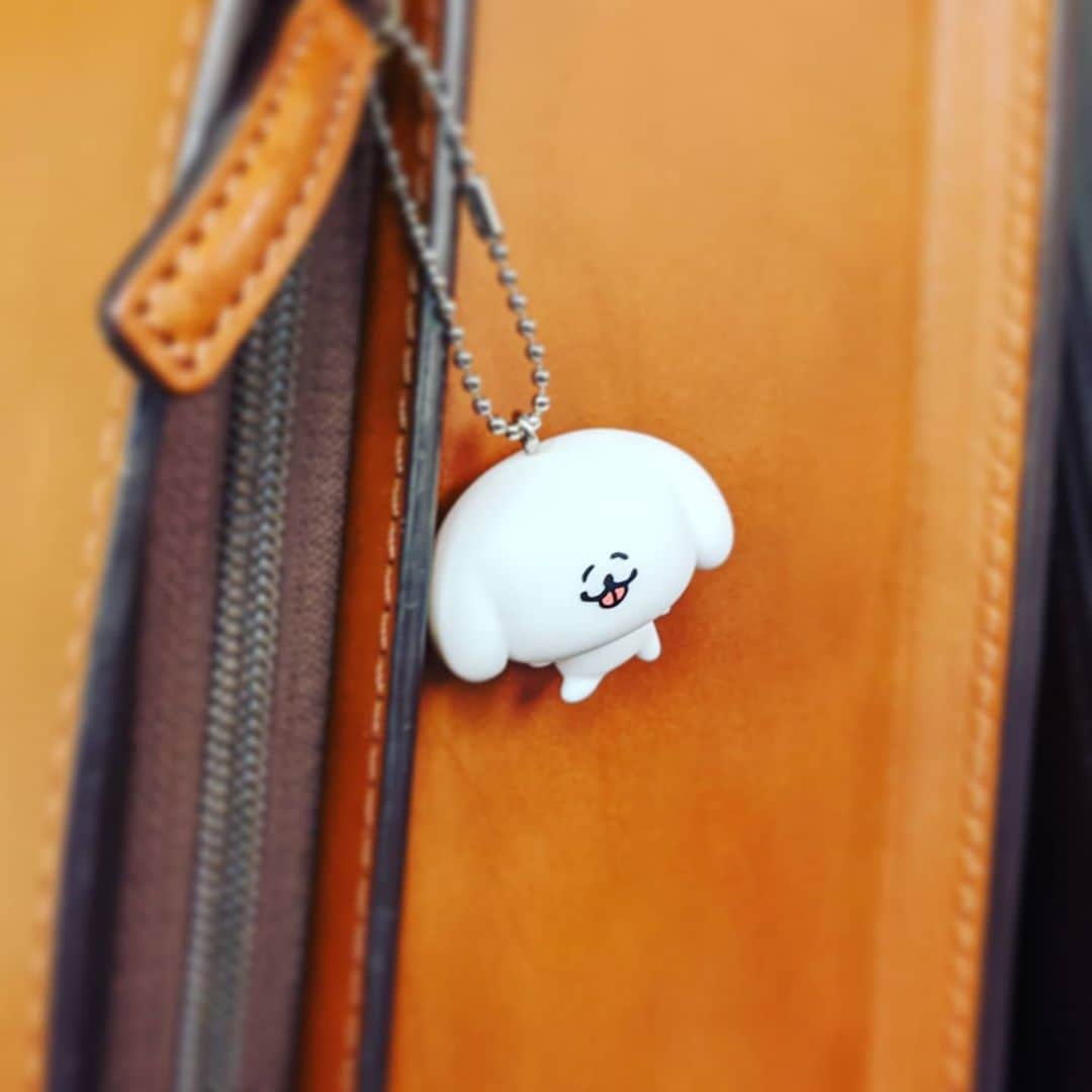 池澤あやかのインスタグラム：「かわいい！」