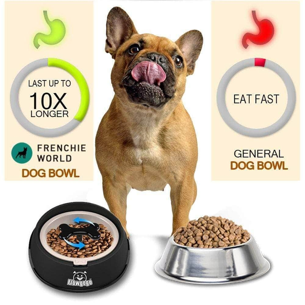 French Bulldogさんのインスタグラム写真 - (French BulldogInstagram)「Frenchie World® Anti-Choke Slow Eating & Drinking Bowl 🐷🥣 LINK IN BIO 🔝🔝🔝 ... Healthy and Slow Feeding Design: The pet bowl with bone shape rotating hinder prolongs pet's eating time, effectively guard against obesity, indigestion and bloating which are caused by fast eating. . . . . . #frenchie #frenchies  #französischebulldogge #frenchbulldog #frenchbulldogs #frenchiesworld #bulldogfrances #フレンチブルドッグ #フレンチブルドッグ #フレブル #ワンコ #frenchiesgram #frenchbulldogsofinstagram #ilovemyfrenchie #batpig #buhi #squishyfacecrewbulldog #bostonterriers #bostonterriersofinstagram #pug #pugsofinstagram #chihuahuasofinstagram #englishbulldog」9月13日 4時43分 - frenchie.world