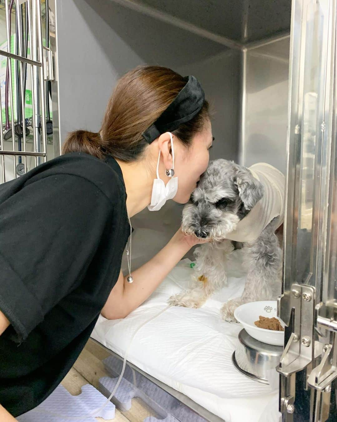 大日方久美子さんのインスタグラム写真 - (大日方久美子Instagram)「・ 会いに行ったらムクっと立ち上がるJIRO  今、どんな気持ちで何を伝えたいのかを必死で汲み取ろうとしたけど結局私の独りよがりなのかもしれない。  それでもJIROには 頑張ってるね！ 熱下がったね！ ご飯を食べて！ 大丈夫だからね！ って伝える毎日。  今は頑張っても努力しても 自分ではどうすることもできないことを 受け入れるようにと与えられた時間なんだなぁ。 ・ 自分の言動や頑張り次第で状況が変わる可能性が1%でもあるなら、全力で取り組む。何だってする。  でもそれができない状況になって初めて 自分が行動すれば状況が良くなる可能性があることの 有り難さと、それがどれ程イージーモードだったのかを 思い知らされてる。  ・ #自分メモ #保護犬jiro #頑張れjiro」9月13日 5時12分 - kumi511976