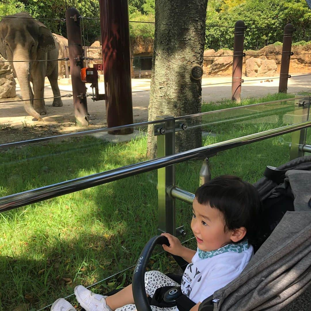 森本容子さんのインスタグラム写真 - (森本容子Instagram)「9月なのに暑くて園内半分まわって退散の時の写真。 1歳9ヶ月の息子はやっと動物園を楽しめるようになってきましたが、楽しみ方が独特で、きかんしゃトーマスのお話に出てきた動物は覚えていて盛り上がり、ほぼジェスチャーでその動物とトーマスのエピソードを再現するという楽しみ方😅新しい。 息子はカリアングのキッズTシャツ。ハーネスつけてます。（ハーネスについては賛否両論ありますが、誰が何と言おうと息子の安全第一に、イリュージョンか！！という早さで何でもすり抜ける息子の命づな😁） 私はナイキのTシャツの袖を切ったものと、ワンピースは地元のイオンで購入したもの。親子で首に結んでいるのは、手ぬぐいを切って水で濡らしたのを巻いています。どんなものより、手ぬぐいを濡らすのが1番涼しいし、衛生的に保てるので我が家は手ぬぐい派。  【 【森本容子セレクト オンラインストア】http://ymdo.tokyo ※新作お知らせから発売開始時間までも【在庫切れ】と表示されておりますので注意ください。  ※商品のお問い合わせ、質問はオンラインストアへお願い致します。  @kariangofficial @ymdoshop @bankertokyo @yocomorimoto #bankertokyo #ymdoshop #kariang #tokyo #denim #japanmade #カリアング#レディスウェア#今日のコーデ#カットソー#コーディネート#森本容子#キッズウエア #マタニティウエア #マタニティ#マタニティコーデ #がんばれ高齢出産 #fashion #yocomorimoto  #1歳 #40代  #手ぬぐい #かまわぬ」9月13日 8時04分 - yocomorimoto