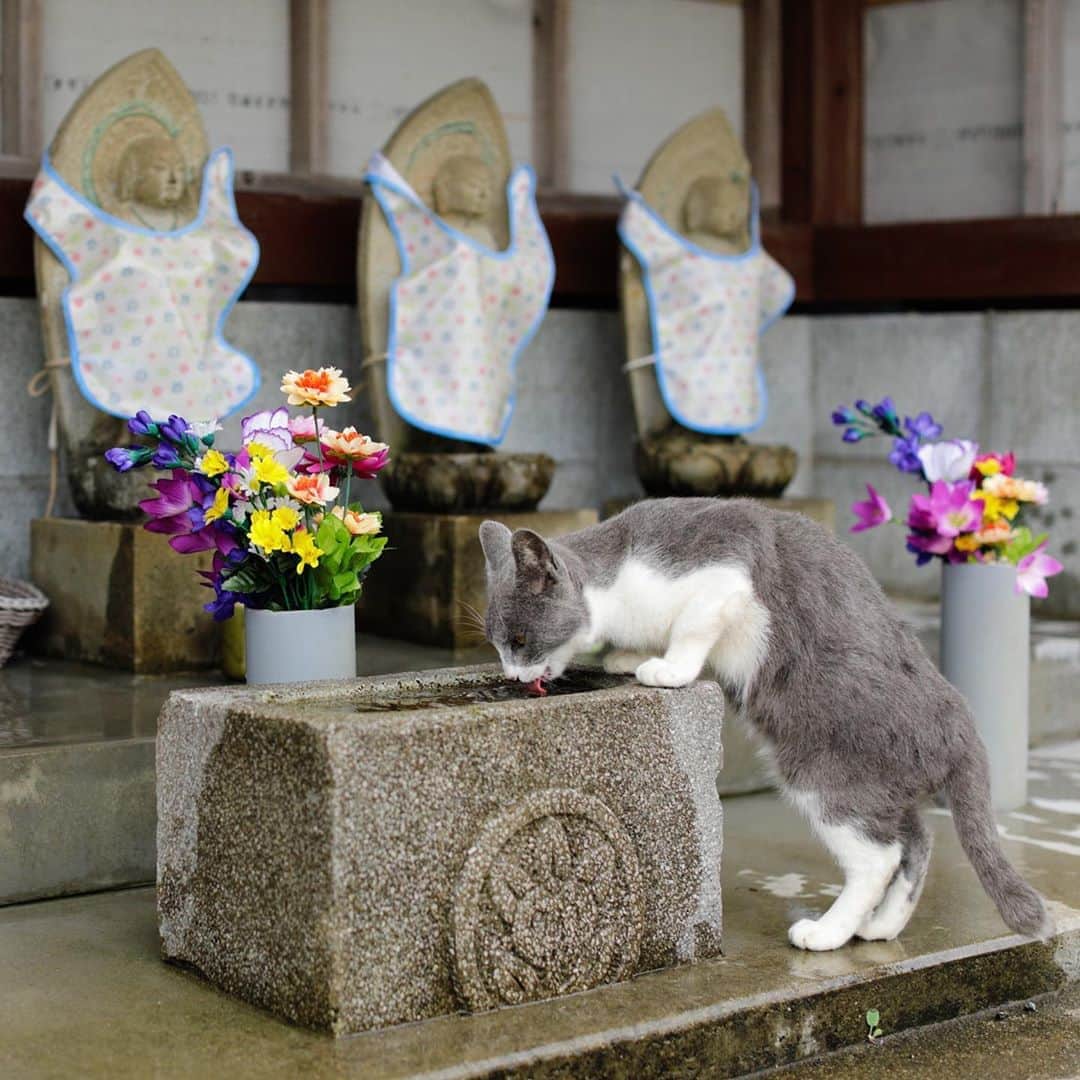 ををつかのインスタグラム
