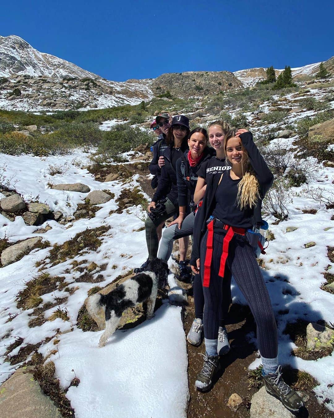 のインスタグラム：「The intrepid explorers @dawnmiller4313 #stevemiller @shareefmalnik @bill0910 @lauren.zanarini @paisleyverea and moi.」