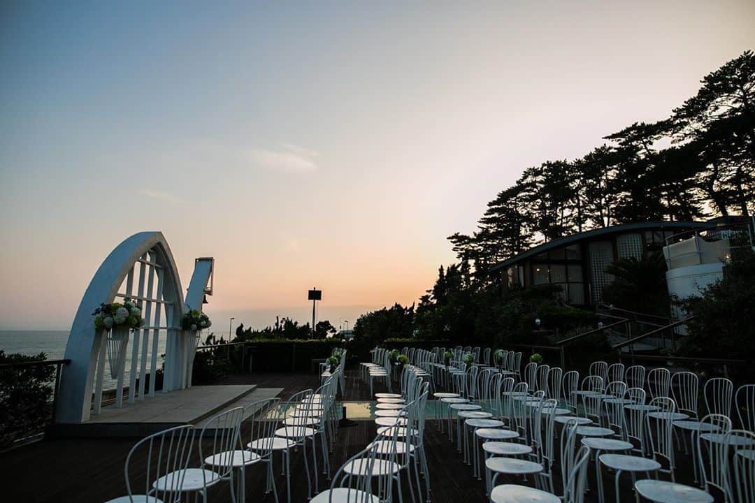 指帆亭のグルメインスタ