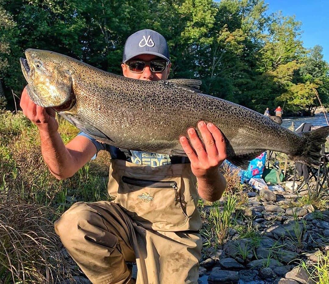 Filthy Anglers™さんのインスタグラム写真 - (Filthy Anglers™Instagram)「Saturday’s are for the Kings. Checkout this early season King Salmon pulled in by @bkehrli in New York. I say it every year, I want to catch these fish! Is this the year, probably not but I’ll pretend it could happen. Is there a fish you want to add to your bucket list? Congrats on the catch buddy, you are Certified Filthy www.filthyanglers.com #fishing #salmon #kingsalmon #angler #river #newyork #filthyanglers #riverfishing #bassfishing #anglerapproved #catchandrelease」9月13日 10時16分 - filthyanglers