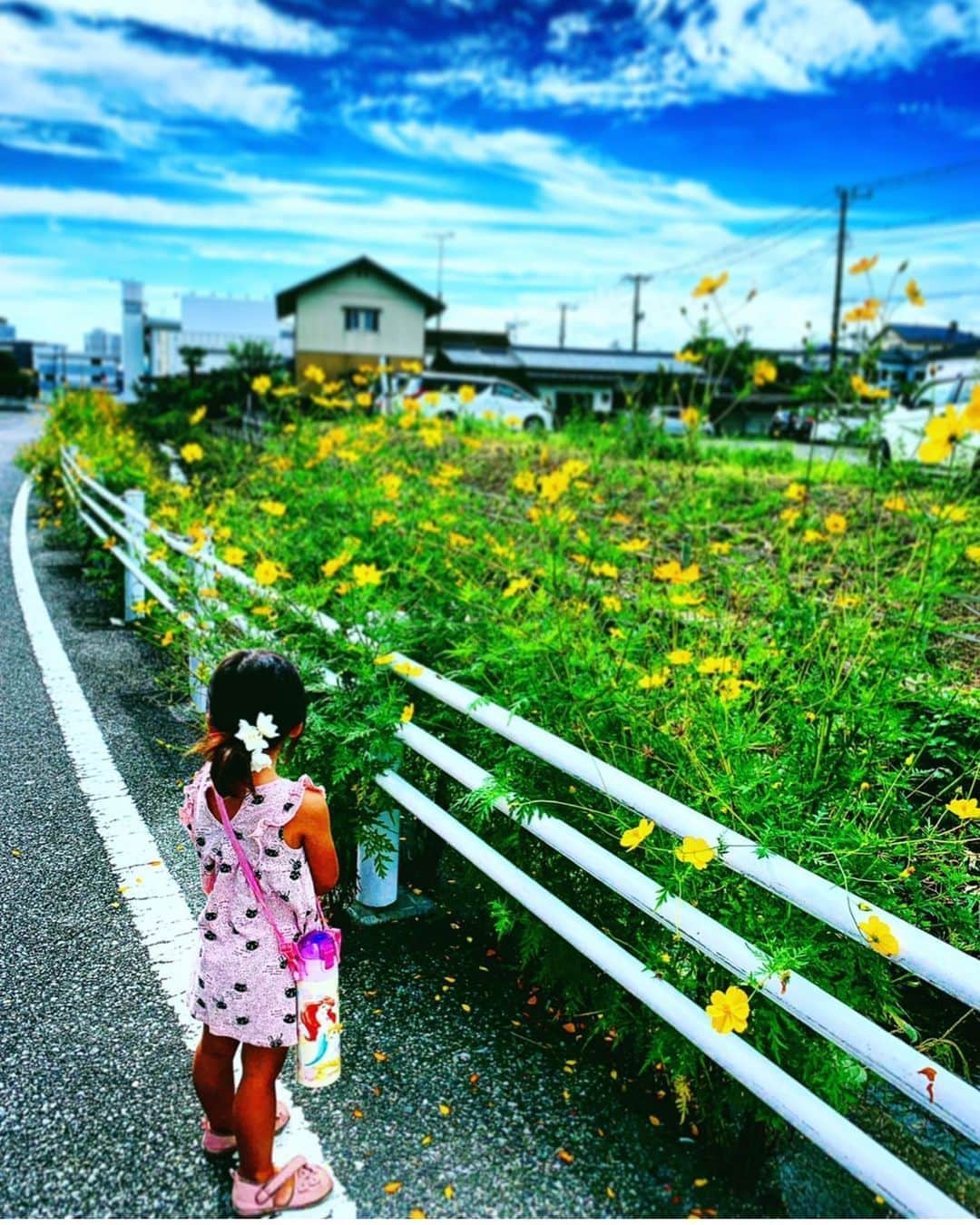 ちゃたさんのインスタグラム写真 - (ちゃたInstagram)「portrait〜秋桜〜  #写真好きな人と繋がりたい #photo #ポートレート撮影 #landscape #portraitphotography #instagood #ポートレート #背景 #風景 #自然 #道 #花 #空撮  #paddyfields #japan #japantrip #kids #子供 #sky #nature #bluesky #evening #雲 #曇り #青空#likeforlikes #散歩 #ママカメラマン #朝 #flower」9月13日 10時44分 - c.h.a.t.a.13