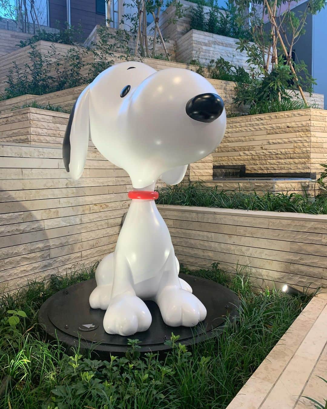 梨沙のインスタグラム：「#snoopy ⸜❤︎⸝‍ . 電車降りた瞬間から綺麗すぎてワクワクが止まらないグランベリーパークすきᐡ｡• ·̫ •｡ᐡ #南町田 #南町田グランベリーパーク #スヌーピー」