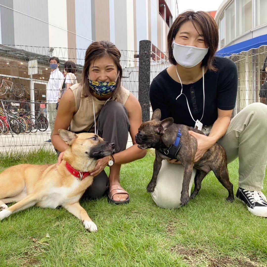 富田真紀子さんのインスタグラム写真 - (富田真紀子Instagram)「ななは野良犬出身で保護犬だから 家族がどこにいるのかわからないんだけど。  今日は家族になれそうなお友達ができて腹まで見せるほどご機嫌🥰  #女子ラグビー #犬バカ部  #7」9月13日 20時43分 - makikotommy