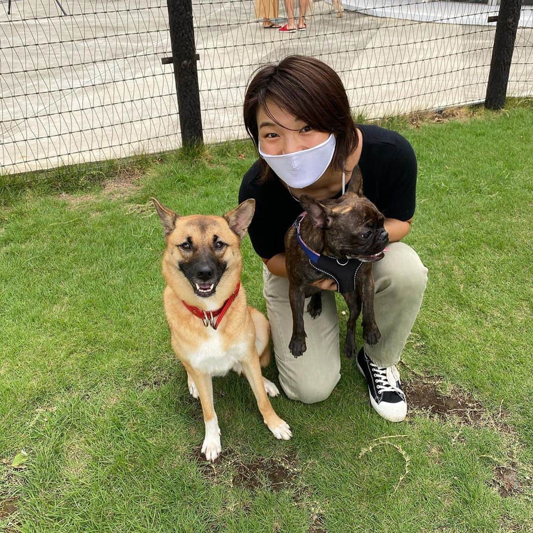 富田真紀子さんのインスタグラム写真 - (富田真紀子Instagram)「ななは野良犬出身で保護犬だから 家族がどこにいるのかわからないんだけど。  今日は家族になれそうなお友達ができて腹まで見せるほどご機嫌🥰  #女子ラグビー #犬バカ部  #7」9月13日 20時43分 - makikotommy