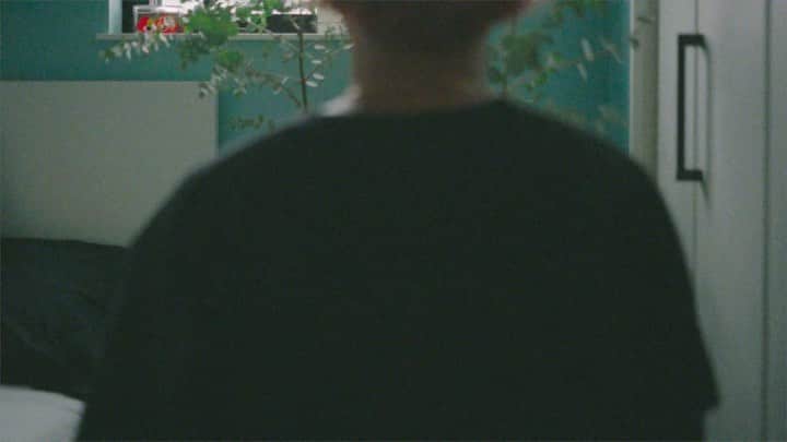 のインスタグラム：「YouTube に動画Upしました😌  チャンネル名:ひかるーく  登録宜しくお願いします🥺  #観葉植物#観葉植物のある暮らし#インテリア#ユーカリ#猫#ブリティッシュショートヘア」