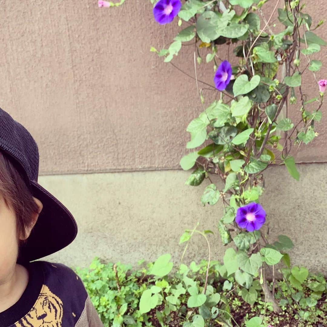加藤千恵のインスタグラム：「なぜか「あさがお、しゃしんとって」と言うので一緒に撮った。しかしもう旭川の夏は終わったらしい。明日の最低気温、12℃って……。」