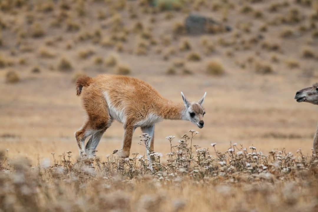 National Geographic Travelのインスタグラム