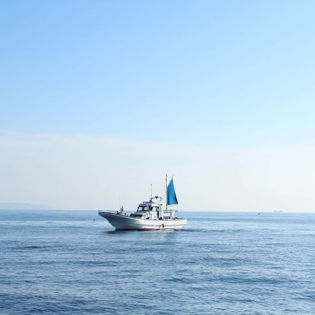 【公式】オーシャンリゾートホテル マホロバ・マインズ三浦さんのインスタグラム写真 - (【公式】オーシャンリゾートホテル マホロバ・マインズ三浦Instagram)「海に囲まれた三浦半島ではいろんな船を見ることができます。 客室からも東京湾を行き交う船を見ることができますので、どこに向かう船かな～想像しながら観察するのも楽しいですよ！  #海 #旅遊 #横須賀 #旅行気分 #ダレカニミセタイケシキ #船 #リゾートテレワーク #漁船 #船好きな人と繋がりたい #イージス艦 #海軍 #海のある生活 #横須賀海軍 #軍港めぐり #igで繋がる海 #みさきまぐろきっぷ #旅行計画 #田舎暮らし #横須賀市 #三浦半島いいところ🙌 #移住 #横須賀 #マホロバマインズ #maholovaminds #マホロバケーション #神奈川観光 #三浦半島 #マホロバ #マホロバマインズ三浦 #久里浜海岸」9月13日 21時00分 - maholova_minds_miura