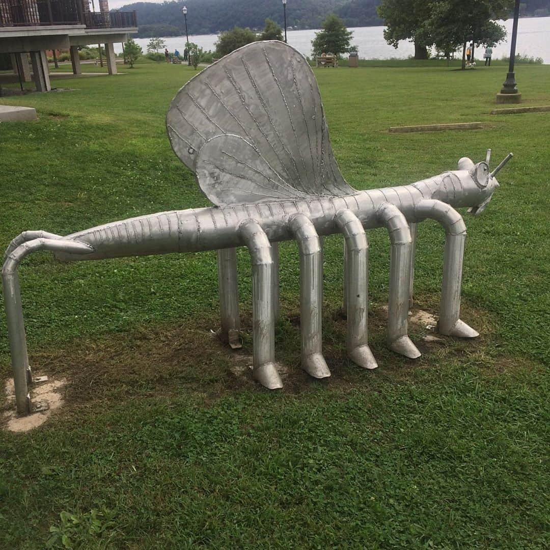 ラリー・ギリアード・Jrさんのインスタグラム写真 - (ラリー・ギリアード・JrInstagram)「Took a little trip to Columbia Pennsylvania to kayak on the Susquehanna River. Saw some nature. Saw some art. On the drive back I saw a sign for the, “Turkey Hill Experience”. As in the ICE CREAM!!! You can create your own flavor there. Ummm! GUESS WHO’S GOING?!!! Haha! #cityboyinnature #kayaking #pennsylvania #susquehanna #socialdistancing #2020」9月13日 21時21分 - thereallgjr