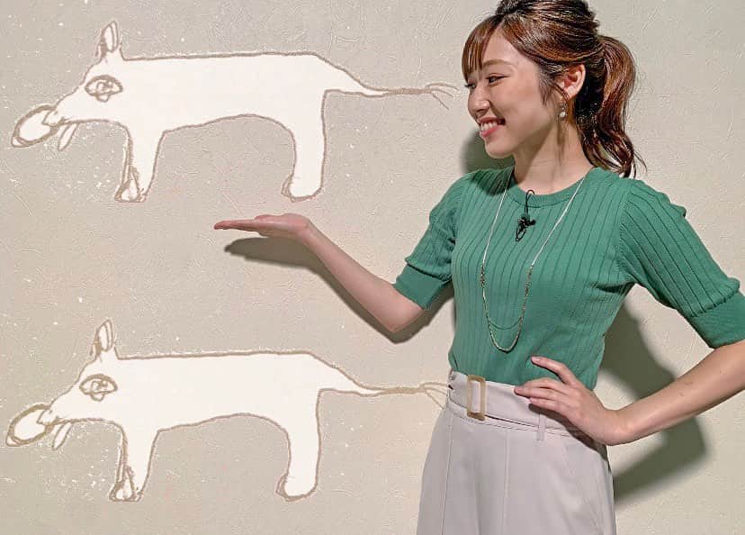北海道放送「今日ドキッ!」のインスタグラム