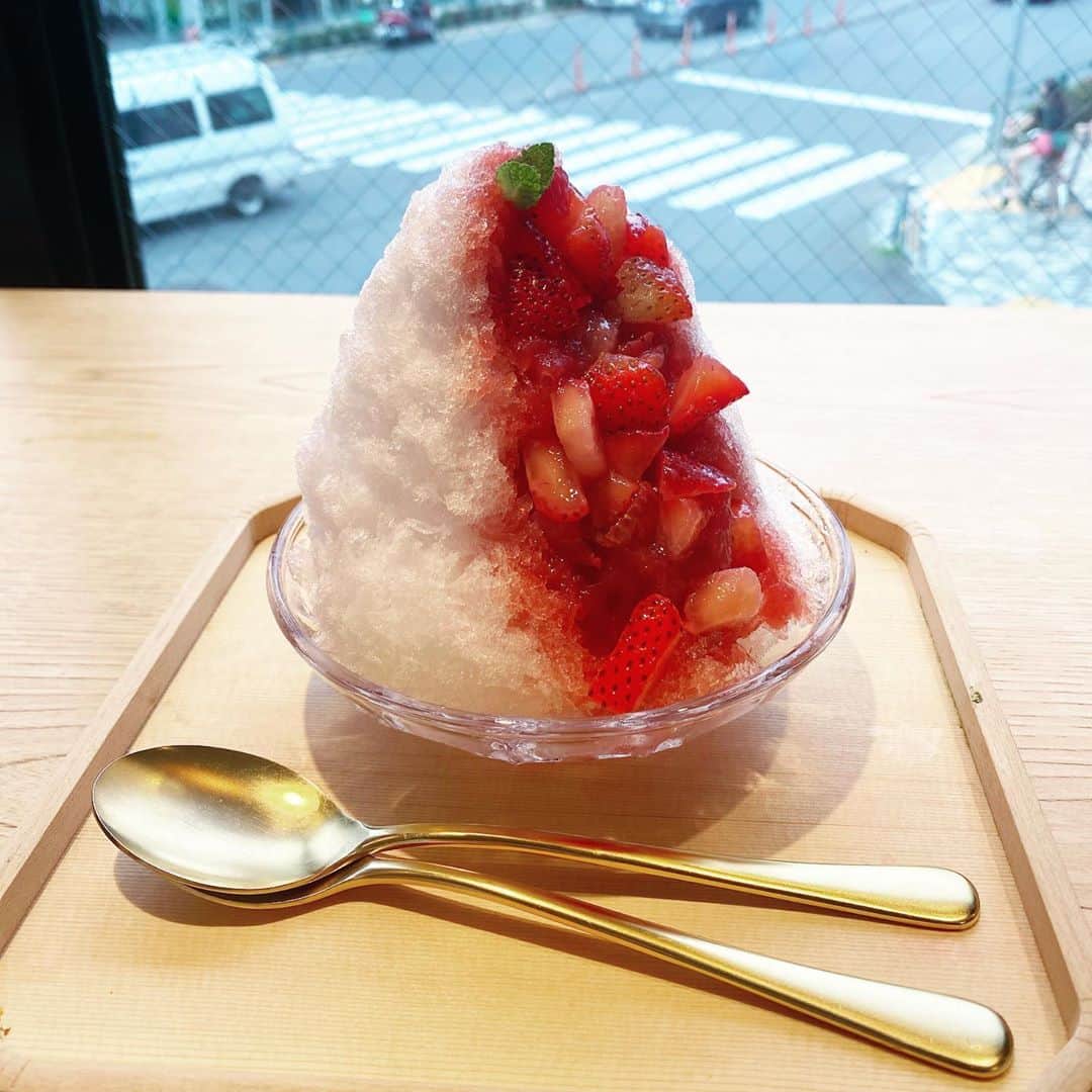 我謝レイラニのグルメインスタ