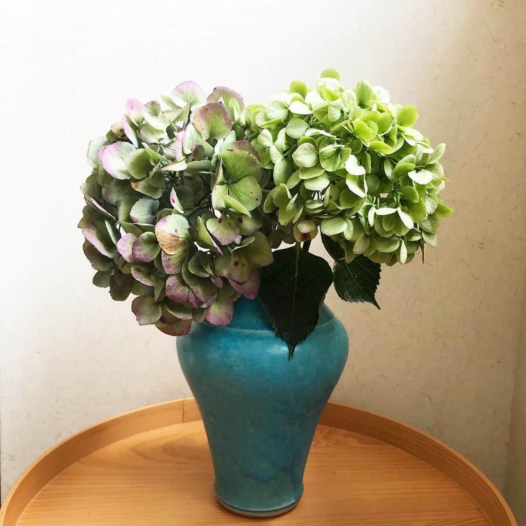のインスタグラム：「秋あじさいの季節ですね！梅雨どきのものより色合いがシックで大好き。花持ちもいいような気がします。ドライフラワーより生花派なのでこの秋あと何回活けられるかなあとしみじみ眺めています。今週のお花。 #flowers #hydrangea #autumn #chic #antique #love #weekend #秋あじさい　#あじさい　#紫陽花　#秋　#お花　#花のある暮らし　#器好き #うつわ好き　#鈴木麻起子」