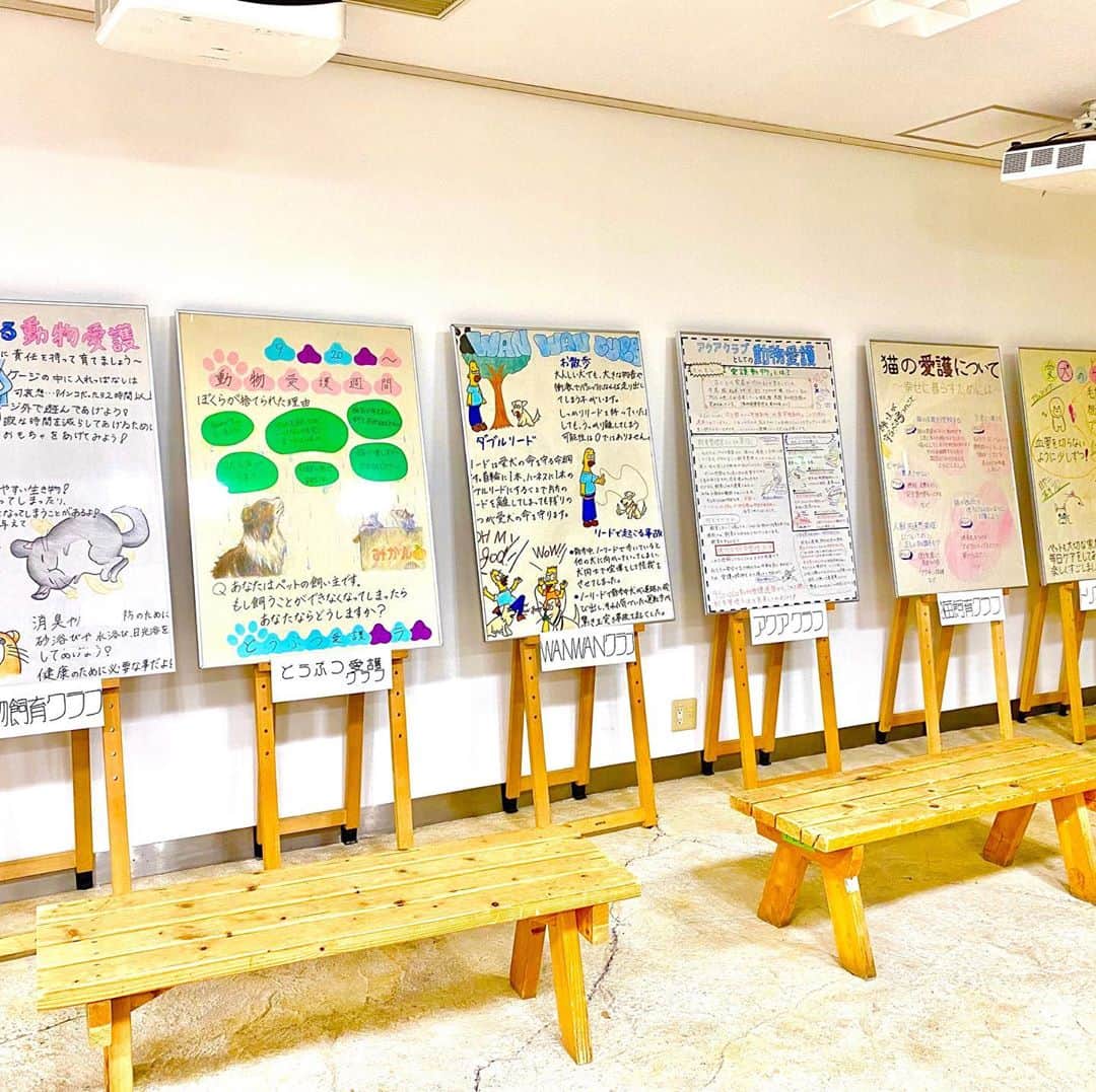 のインスタグラム：「こんにちは！ 学友会執行部です🕊 9月になり過ごしやすい時期になりましたね！ そして9月は動物愛護週間もあります🐕 14日〜18日の昼休み、1階エントランスにて 動物愛護週間の募金活動を行います🐶🐱 学生の皆様、講師の方々、 募金をよろしくお願い致します🦮  愛護週間について私たちに出来ることを 考えてみてはいかがでしょうか？🐰  #福岡ECO動物海洋専門学校 #動物愛護週間 #私たちに出来ること」