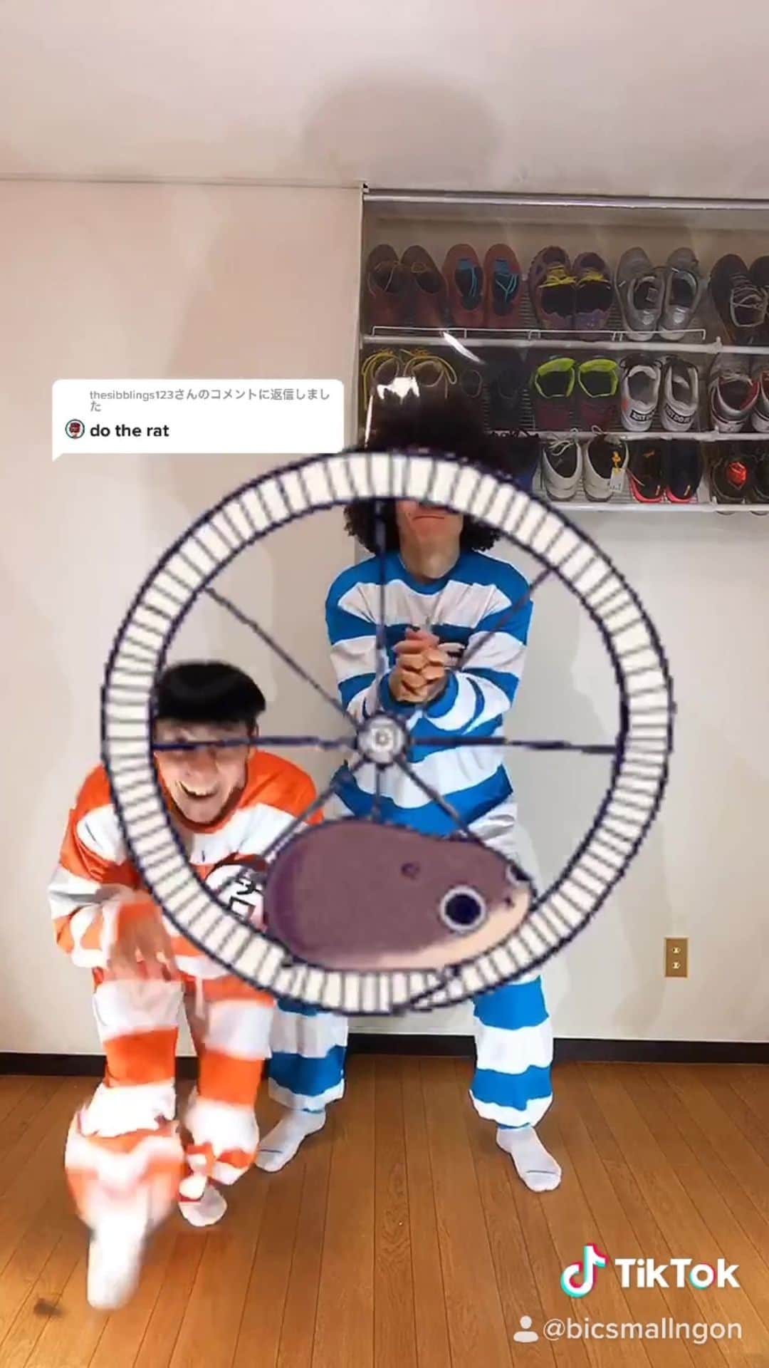 ゴンのインスタグラム：「ネズミ🐀？ ハムスター🐹？」