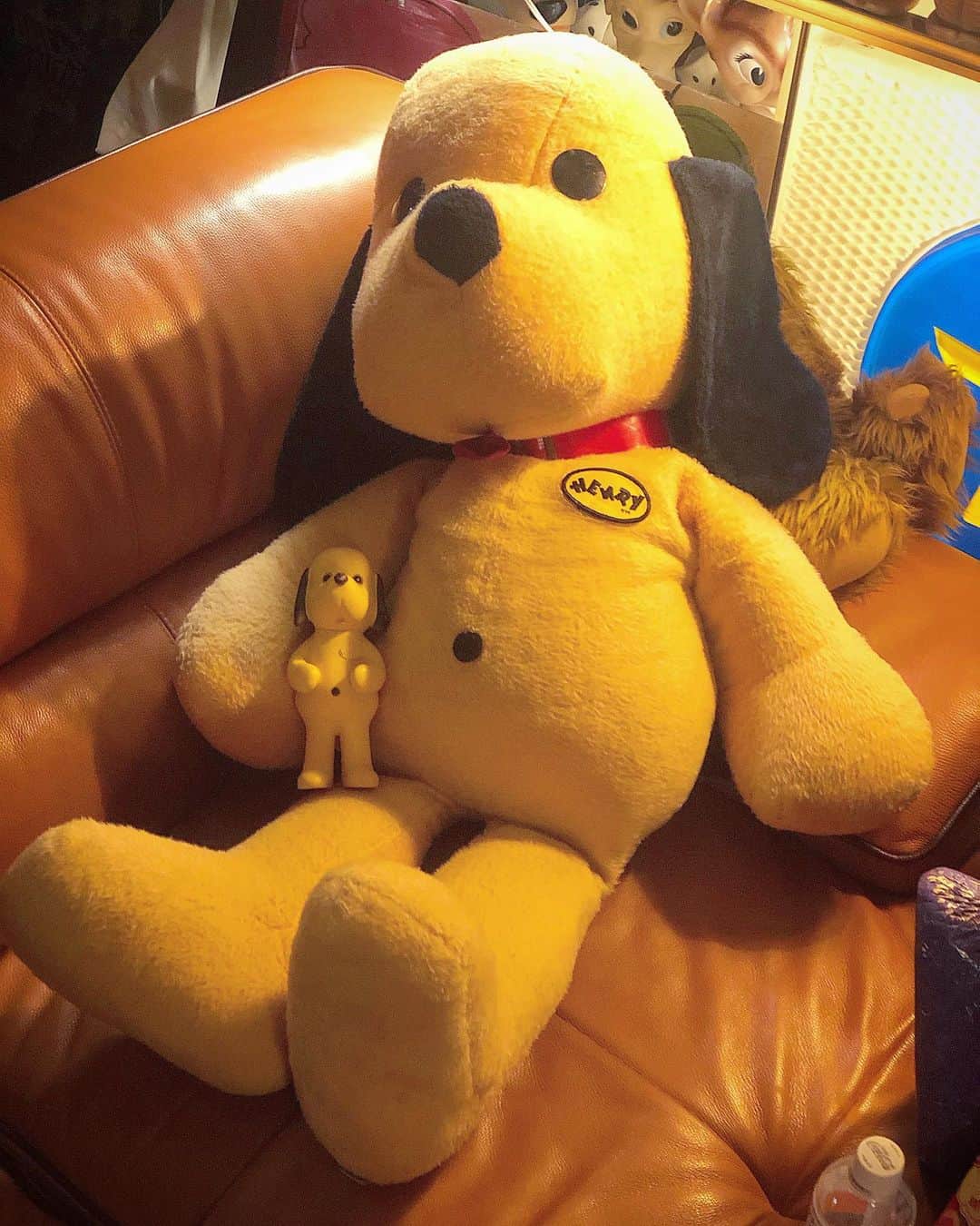 大川知英のインスタグラム：「71's Animal Fair HENRY the DOG Oversized Plush Doll/ Rubber Doll Advertising🇺🇸🐶 ずっぽしヘンリーの特大サイズぬいぐるみ👨🏾 ちみ、俺みたいな腹してるな。。upi-🤡❗️ #animalfair #henrythedog#oversized #plushdoll#rubberdoll#advertising #vintage#ずっぽし#特大ぬいぐるみ #可愛いすぎやないかい#デカ物好き #ノリと海苔ライフ#amecajiboys #takatsubase#アメトイ部#captain」