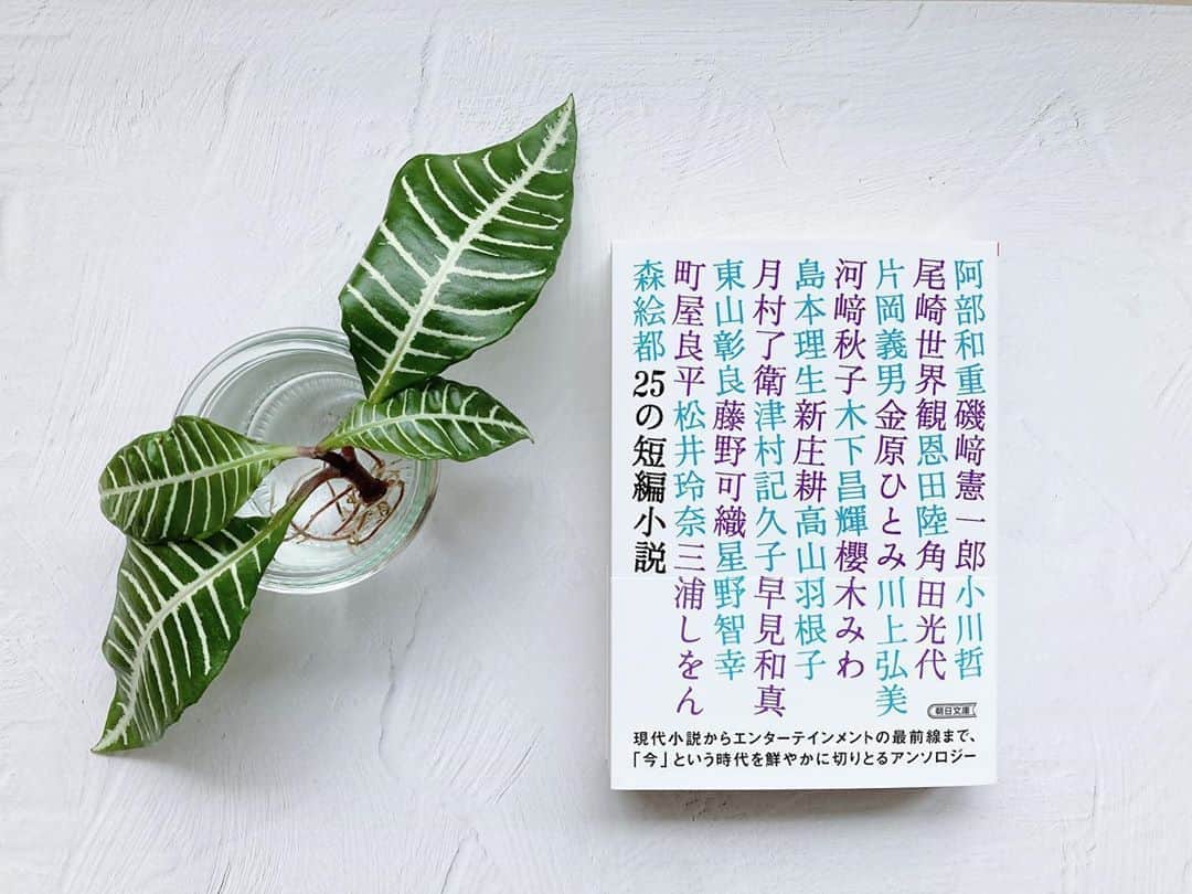 藤野可織のインスタグラム：「小説トリッパー創刊25周年記念号が文庫本になりました。『25の短編小説』（朝日文庫）、私の「なにも持っていない右腕」も収録していただいてます。」
