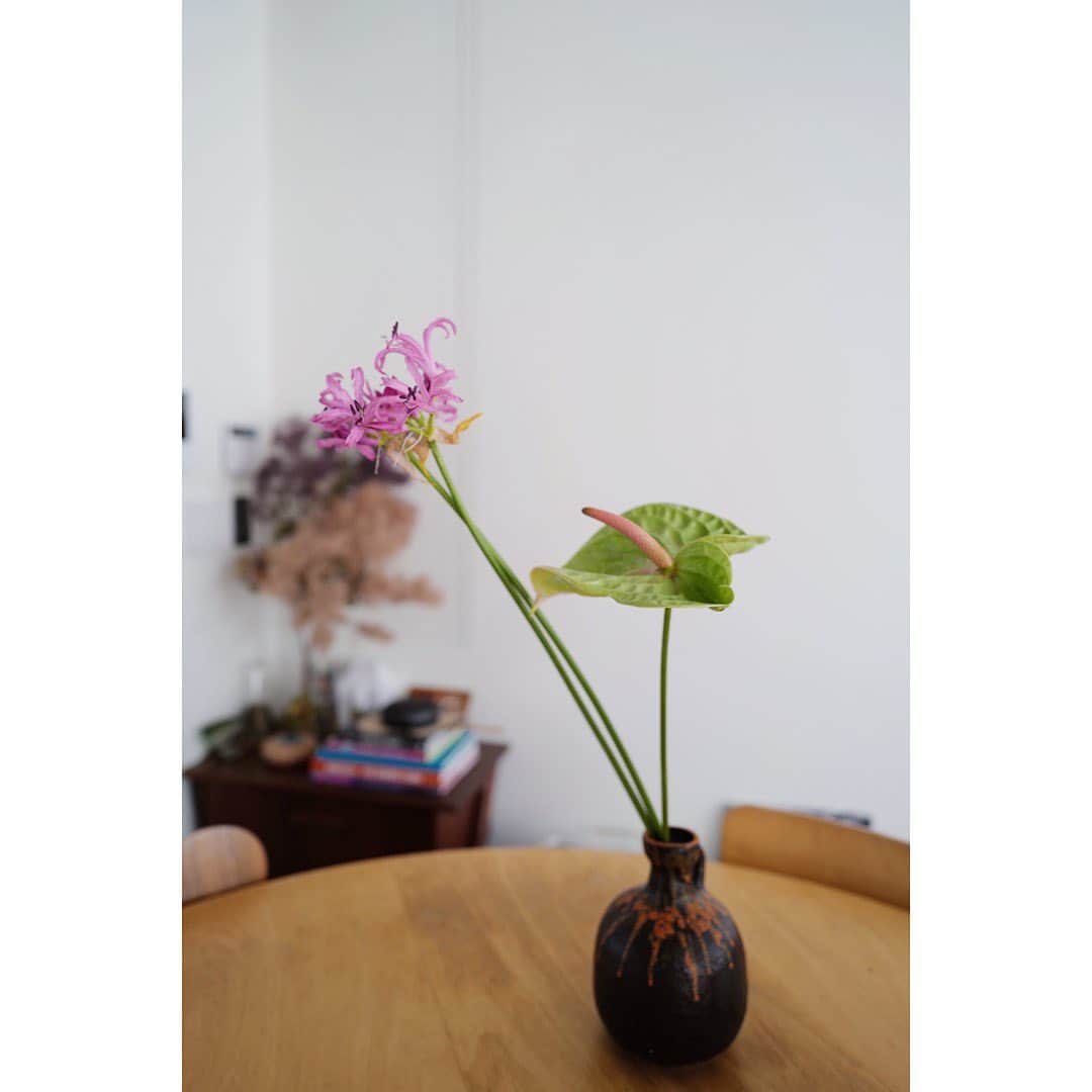 土井地恵理子さんのインスタグラム写真 - (土井地恵理子Instagram)「・ 階段上にマリーゴールド。 上ったときに目に入るもので 気分も変わる❤︎ ・ ・ お花はちゃあのところで💐 @charbatake  ・ ・ #d_home #myhome #interior #flower #お花のある暮らし」9月13日 16時03分 - ericodoiji