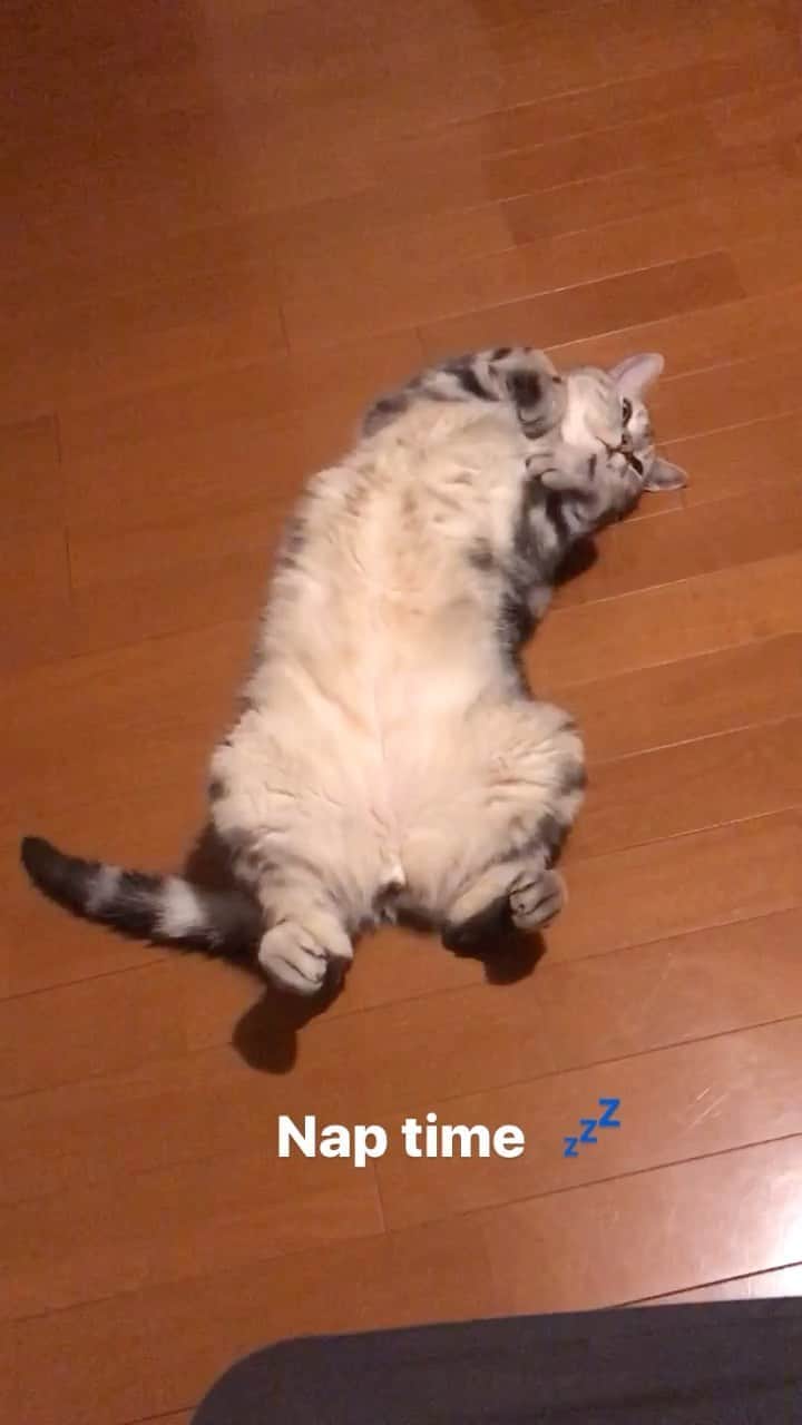 Alain アランのインスタグラム