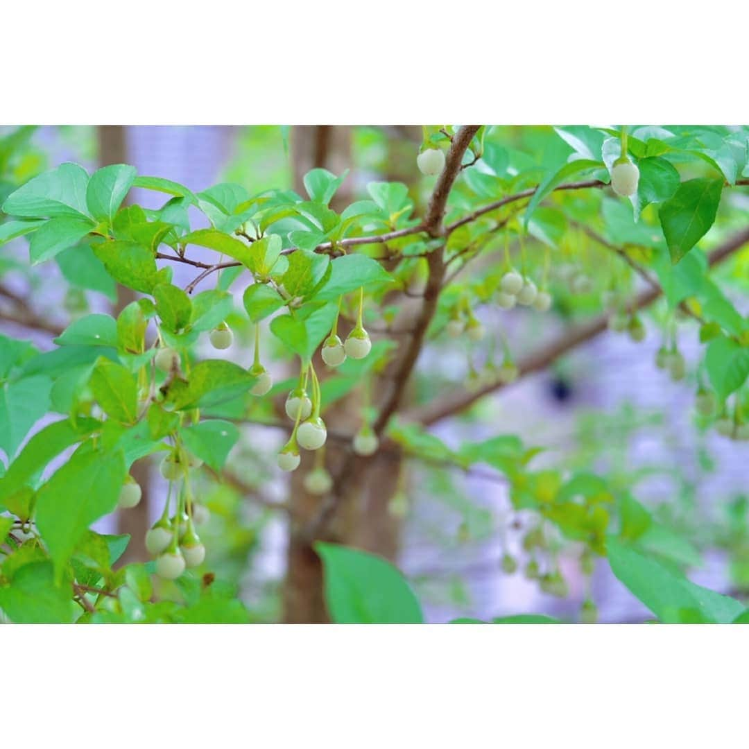 kokiさんのインスタグラム写真 - (kokiInstagram)「Charging energy in the nature 💓🌿🌱   📷 of me by sis ❤️」9月13日 16時37分 - koki