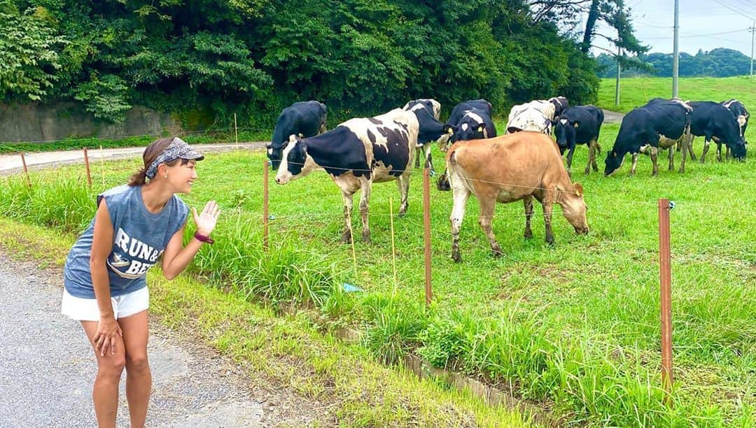 福島和可菜さんのインスタグラム写真 - (福島和可菜Instagram)「海から…牧場に来ました🐂  どんな移動やー（笑）今日も撮影してます😁  『牛ちゃーん、こんにちはー✋』 って呼んだらみんな来てくれた😳‼️ なんて可愛いのだ🥰  家にも、 トカゲちゃん、イモリちゃん、タナゴちゃん （みんな元気にしてます👍）が居ますが、 動物に囲まれるって幸せですね🐍 （昆虫も好きだよ😎（笑））  今日も自宅ではなく宿泊🏠  #run #and #beer #Tシャツ #海 #からの #牧場 #笑 #trip #ロケ #撮影 #牛 #美味しい #牛乳 #乳牛 #可愛い #毎日 #active #love #outdoor #running #動物 #家族 #🐂 #🐃 #😍 #🏃‍♂️ #👟 #🍺 #❤️」9月13日 17時29分 - fukushimawakana