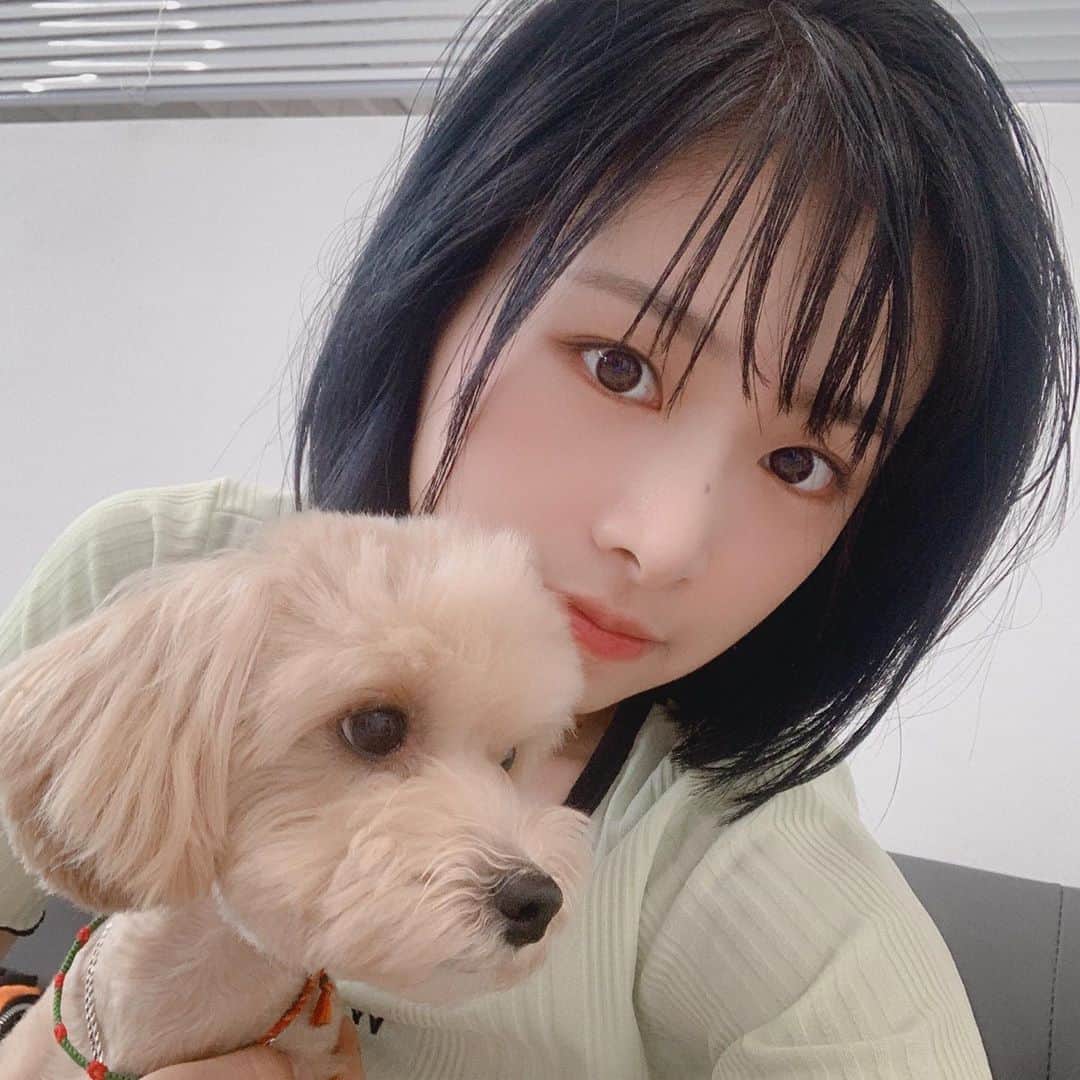 チェウォンのインスタグラム：「#🐶」