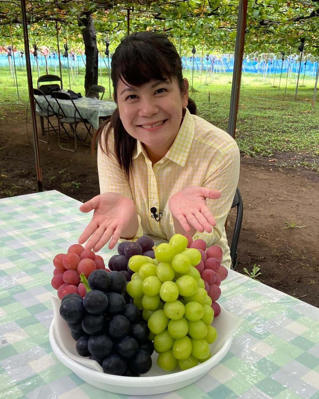 能登瑶子さんのインスタグラム写真 - (能登瑶子Instagram)「秋の味覚ぶどう🍇✨  明日14日(月)夜9時からのJAみどりの風は甘くて美味しいぶどうと珍しい白小豆をご紹介します( ^ω^ )  最近の夜は少し気温も下がって過ごしやすくなってきましたね。 秋も目の前！秋といえば食欲の秋！！ 番組での私の食べっぷりに注目してみてください(^^)  また、明日昼11時30分からのひるポチッ！では秋のくだものについてのメッセージをお待ちしています( ^ω^ ) 皆さんの好きな秋のくだもの教えて下さい( ´ ▽ ` ) Fax  027-232-8436 メールアドレス　hirupochi@gtv.co.jp お待ちしてまーす（＾∇＾）✨  #JA#みどりの風#秋#くだもの#ぶどう#白小豆#ひるポチッ#メッセージ#好きな#くだもの#gtv #アナウンサー」9月13日 18時42分 - noto.1281