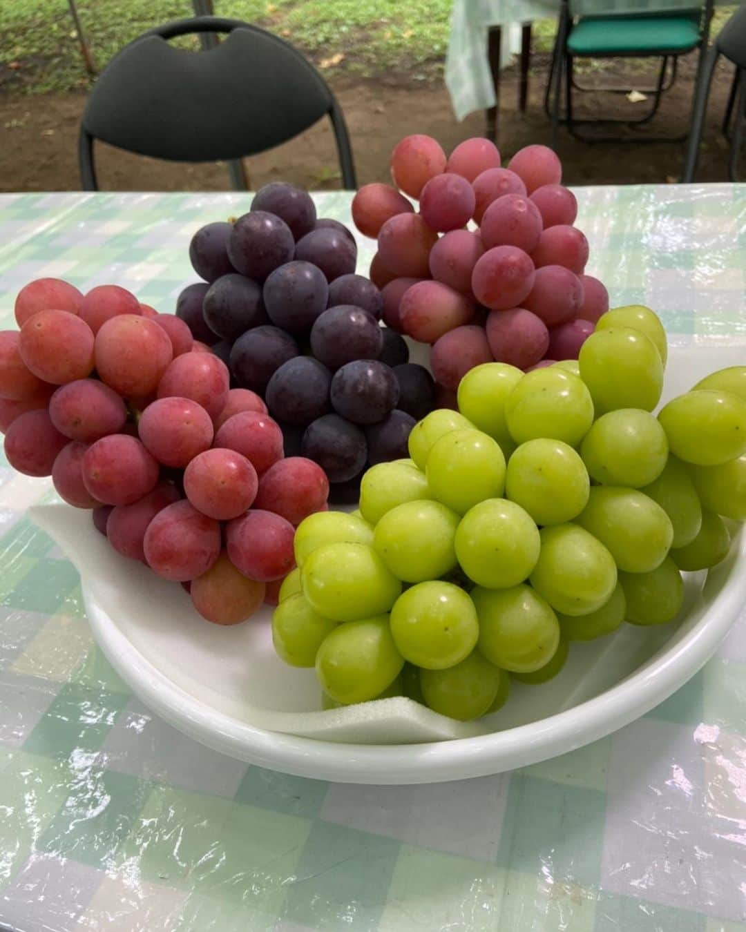 能登瑶子さんのインスタグラム写真 - (能登瑶子Instagram)「秋の味覚ぶどう🍇✨  明日14日(月)夜9時からのJAみどりの風は甘くて美味しいぶどうと珍しい白小豆をご紹介します( ^ω^ )  最近の夜は少し気温も下がって過ごしやすくなってきましたね。 秋も目の前！秋といえば食欲の秋！！ 番組での私の食べっぷりに注目してみてください(^^)  また、明日昼11時30分からのひるポチッ！では秋のくだものについてのメッセージをお待ちしています( ^ω^ ) 皆さんの好きな秋のくだもの教えて下さい( ´ ▽ ` ) Fax  027-232-8436 メールアドレス　hirupochi@gtv.co.jp お待ちしてまーす（＾∇＾）✨  #JA#みどりの風#秋#くだもの#ぶどう#白小豆#ひるポチッ#メッセージ#好きな#くだもの#gtv #アナウンサー」9月13日 18時42分 - noto.1281